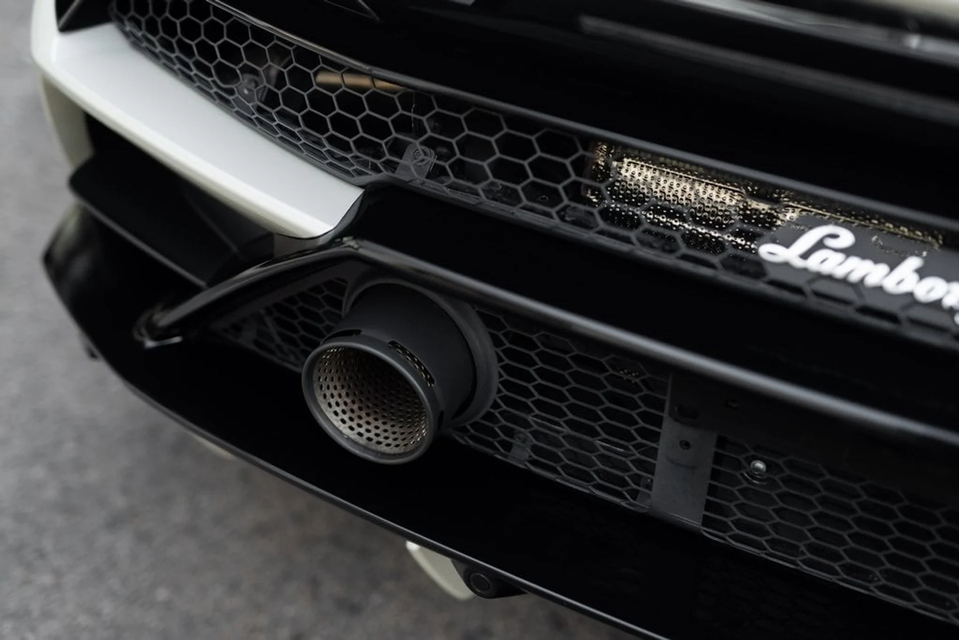 mph017_787366203_af0e0ce2eb23156c010cfa0f8e7d9cd3x_72f3b15f5a