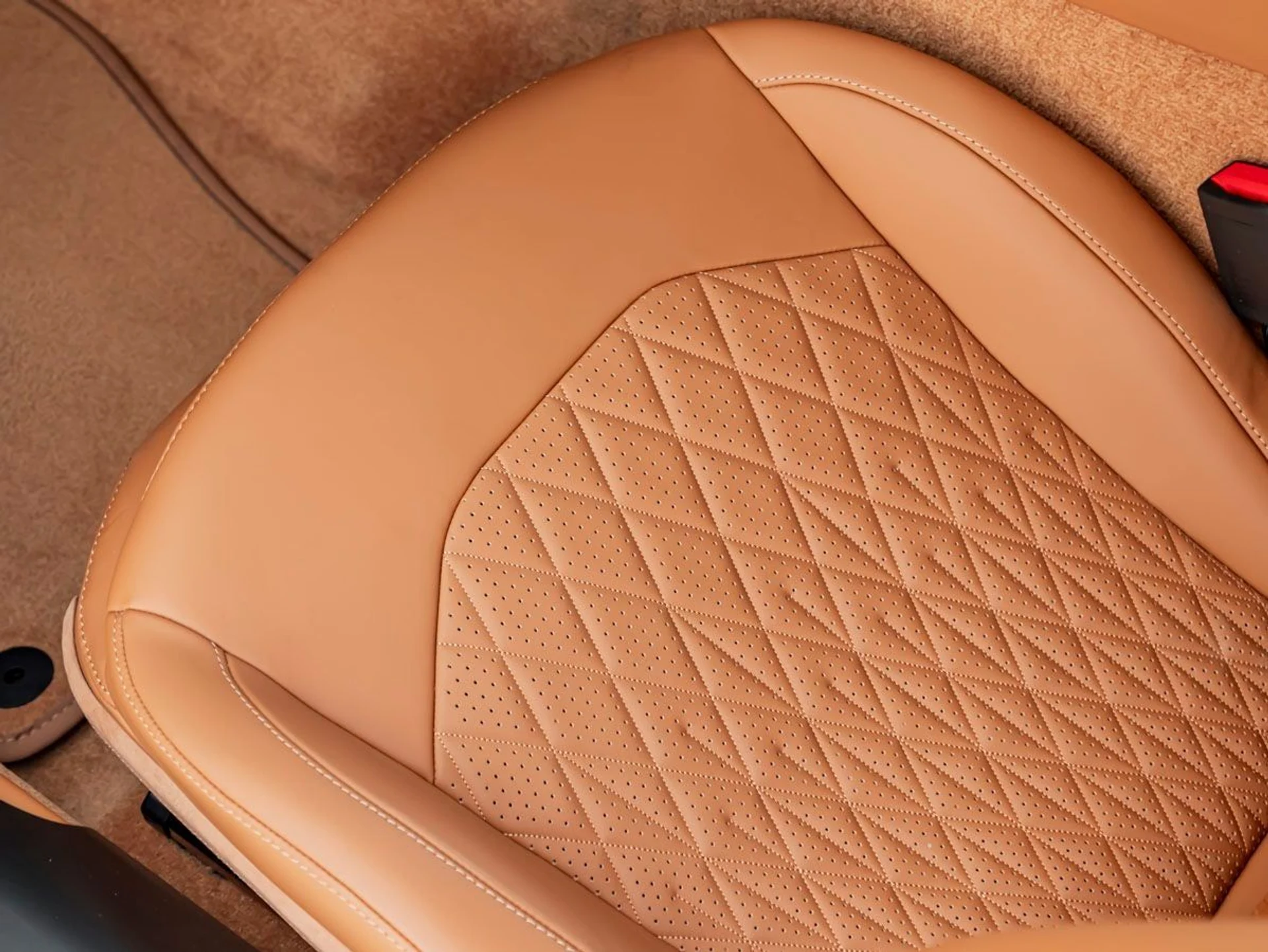 mph017_811502949_18_8b2fa14fec