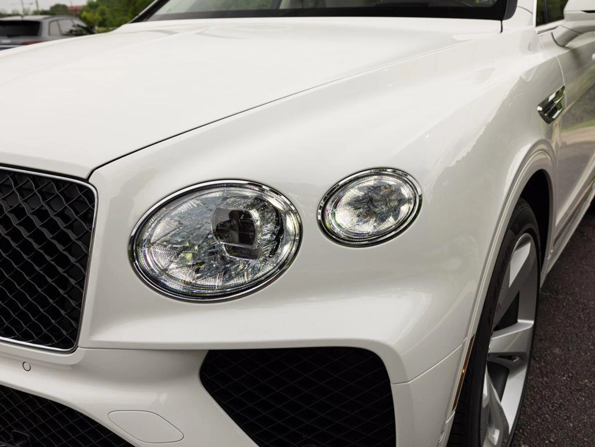 mph017_829034854_514426018_69ef6f39b42b849f5deca1f6_a8d66b1096