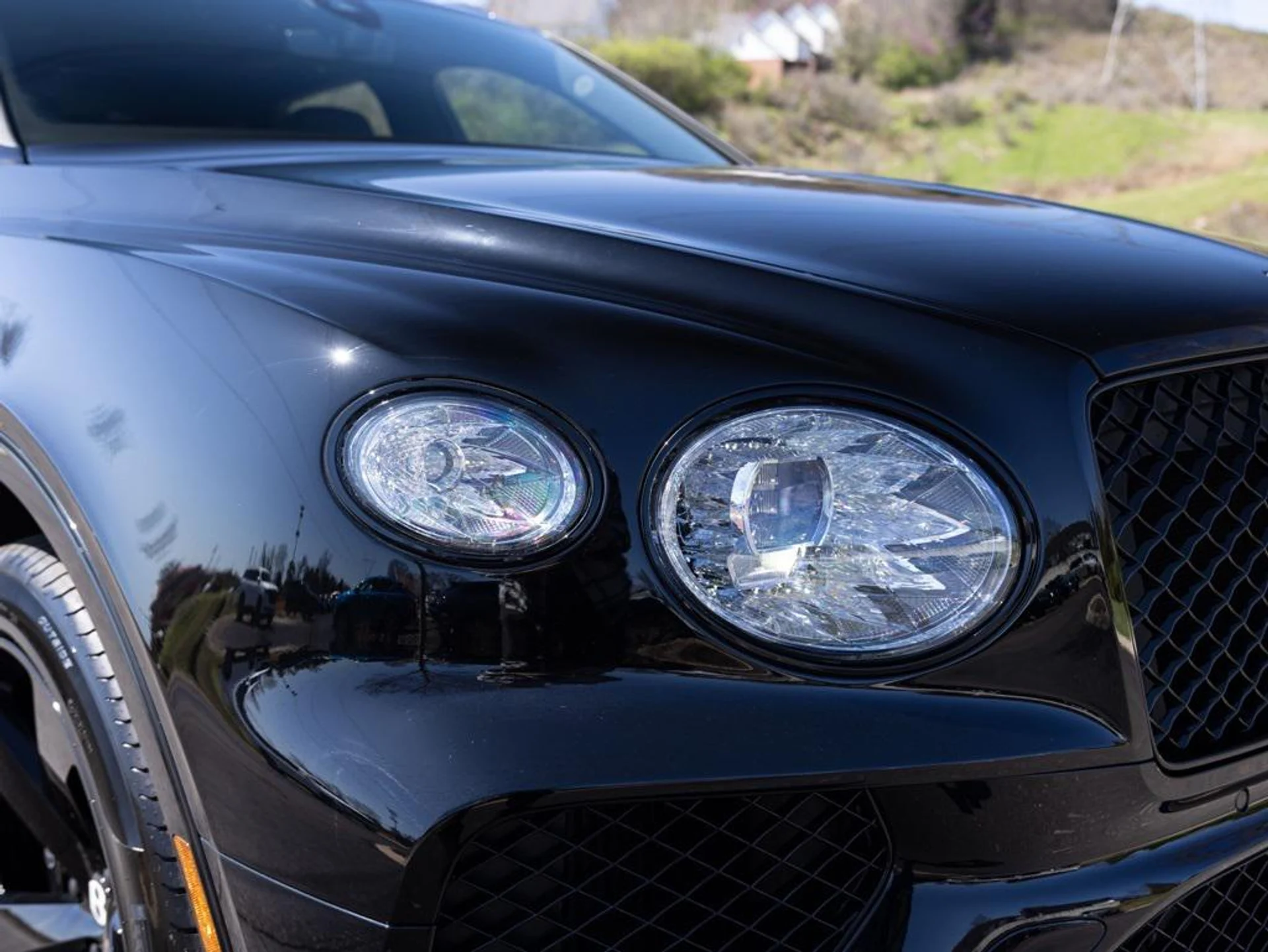 mph017_829350274_407780630_69464455604a396795b9f3da_d96aca2bb3