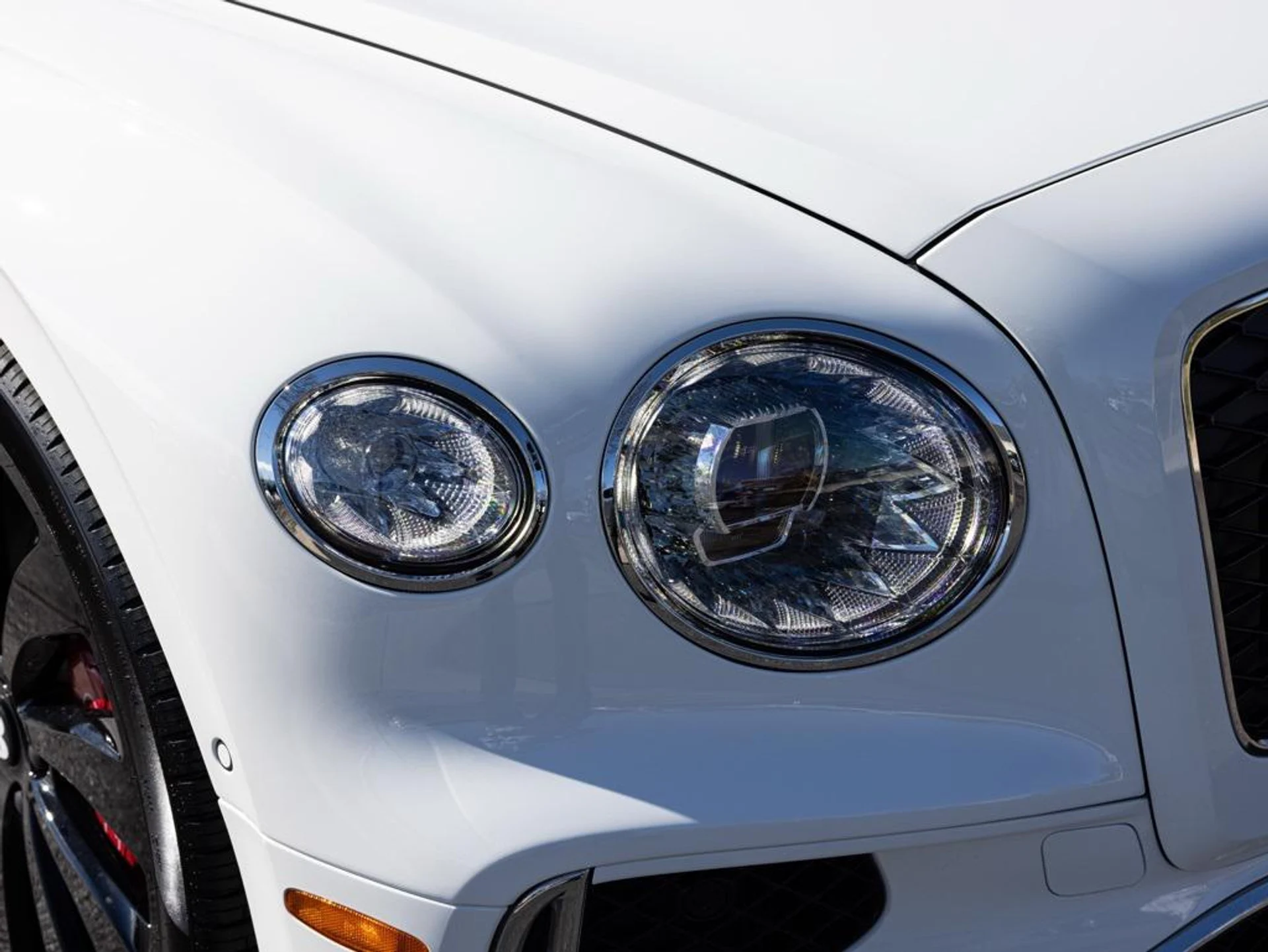 mph018_1079102829_489450284_696fa25e247726b502ba2706_05f0488681