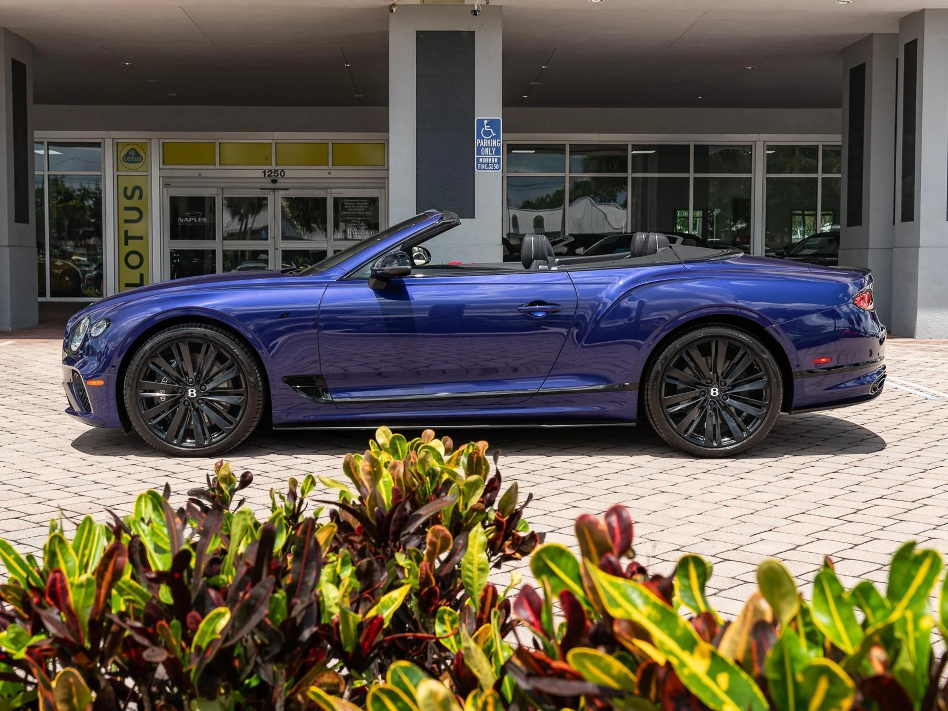 mph018_1082264469_Used_2023_Bentley_Continental_GTC_V8_1779224573_ed861c5799