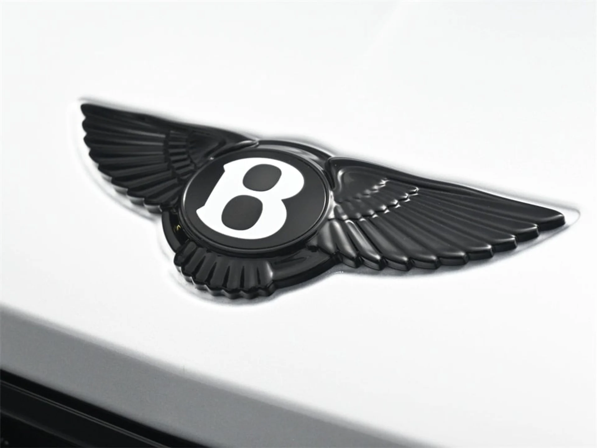 mph018_1101486683_5fd6321bede8fc6f44f969ae452ff4e2x_e6a91cd52e