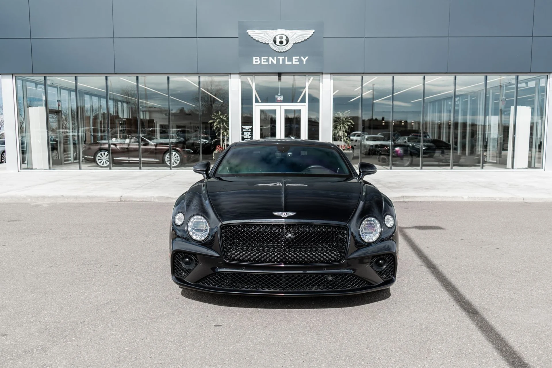 mph018_1209388444_951ec97c_294b_4393_8856_499e7f370b6f_568bcf0e08