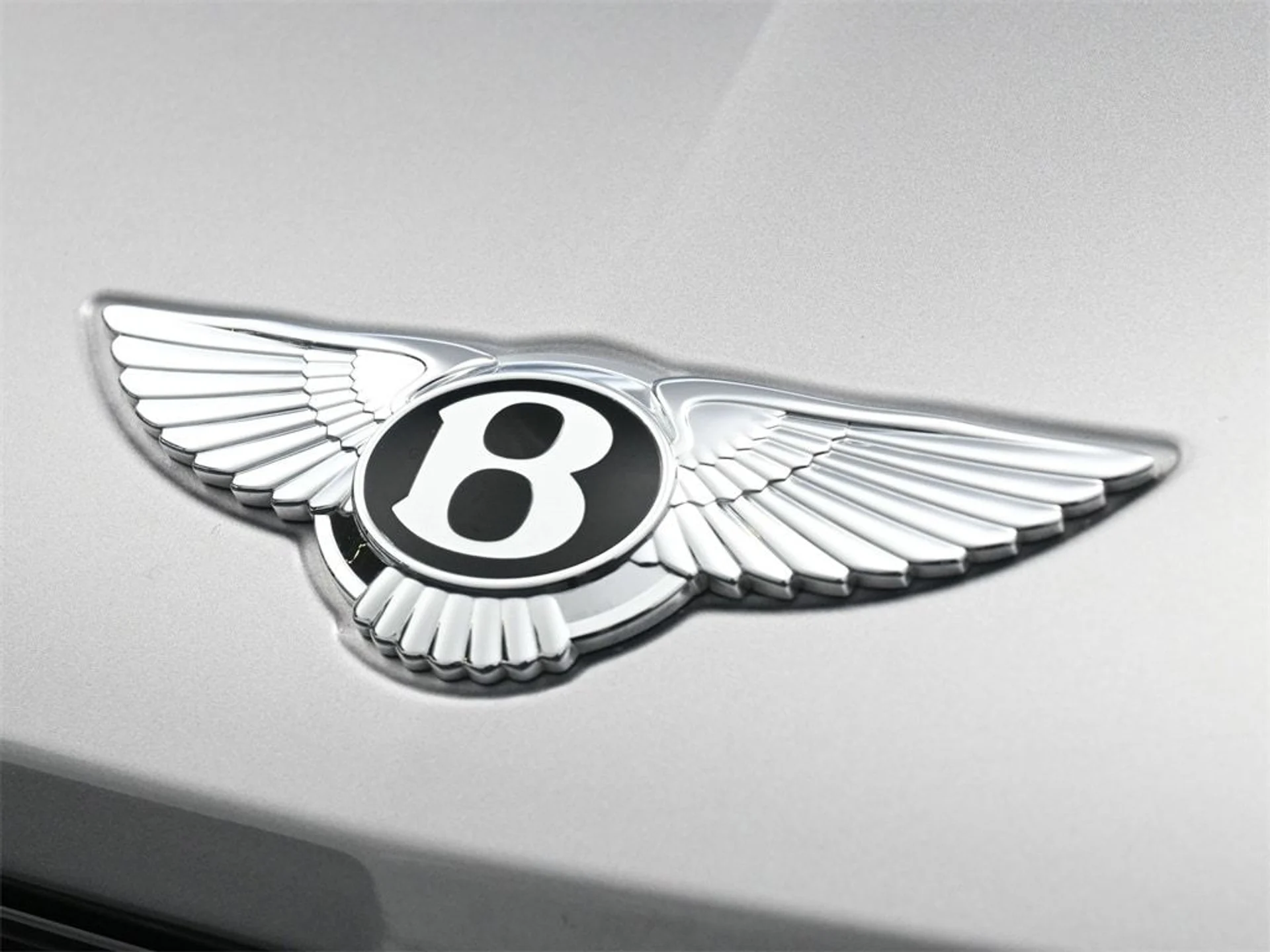 mph018_1230589911_6db5cab3852135e7b15f1ad0d621e737x_510cc22001