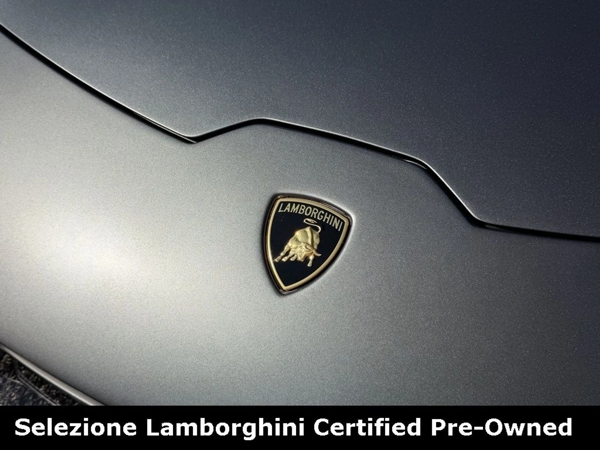 mph018_1236743038_9232f7f97d919b3969d9adcf3a7700bax_93428e4809