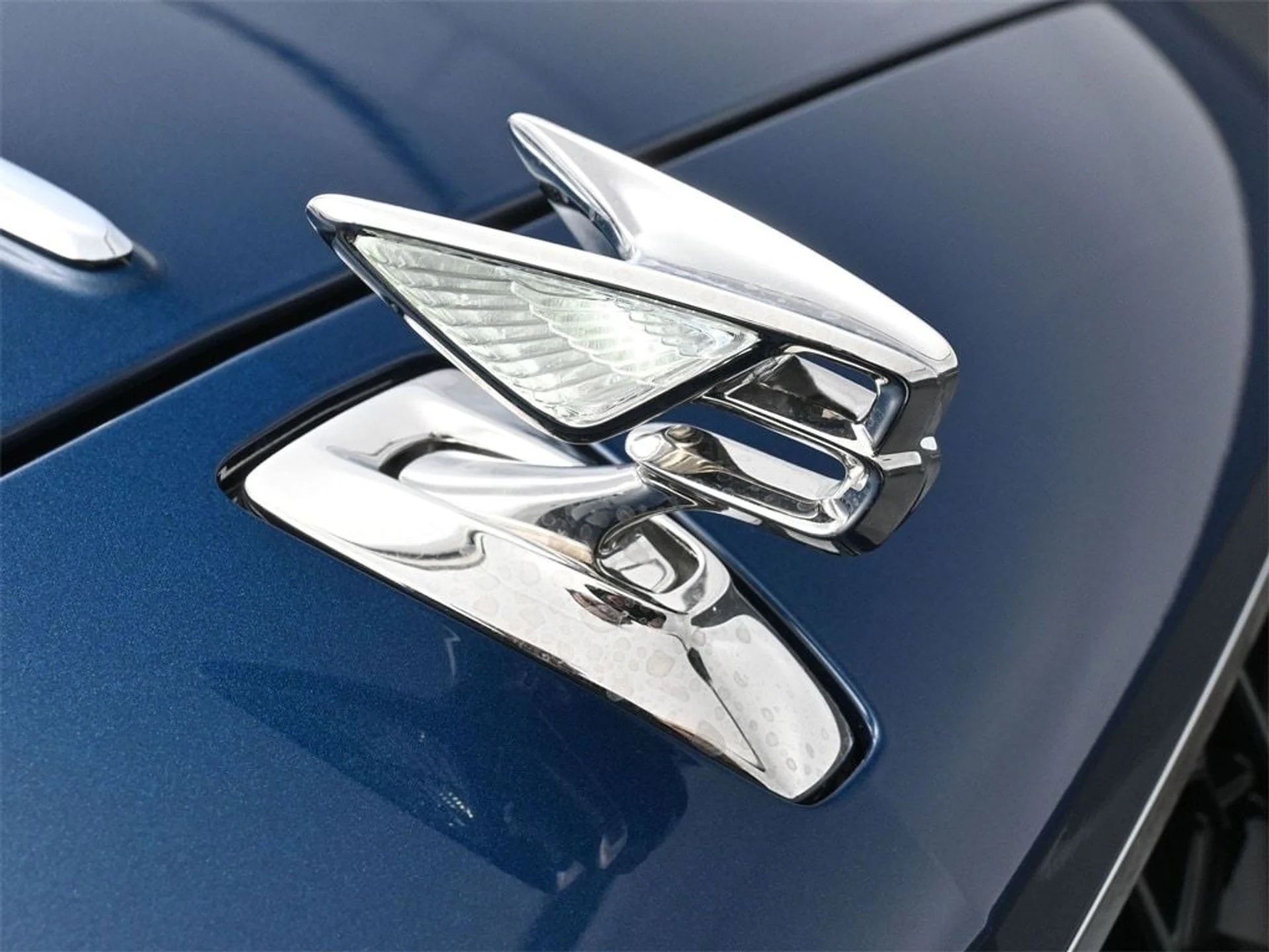 mph018_1246736840_3365ff68d7694493a1507b54bd9b587ax_364e7b9634