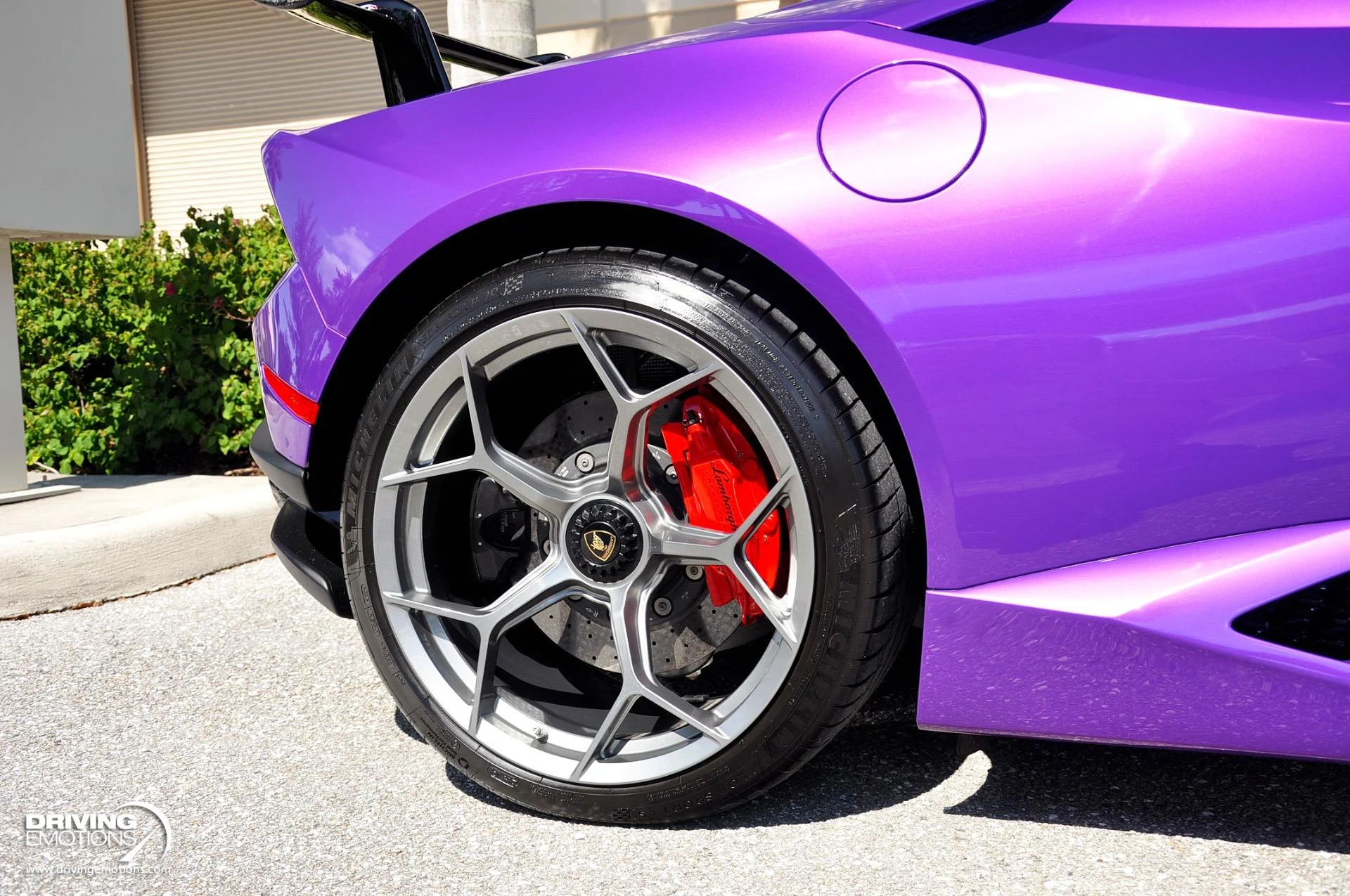 mph018_1413040166_863_p19_l_262c3f68a2