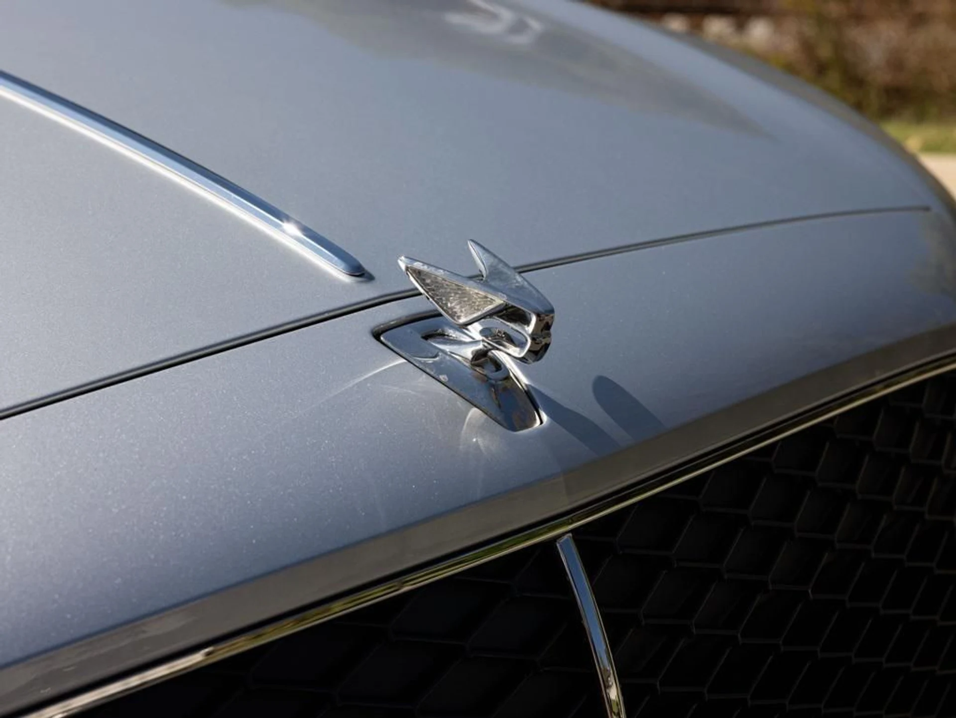 mph018_145904990_465279750_68f229acc83056c645fcfea2_83e67774a0