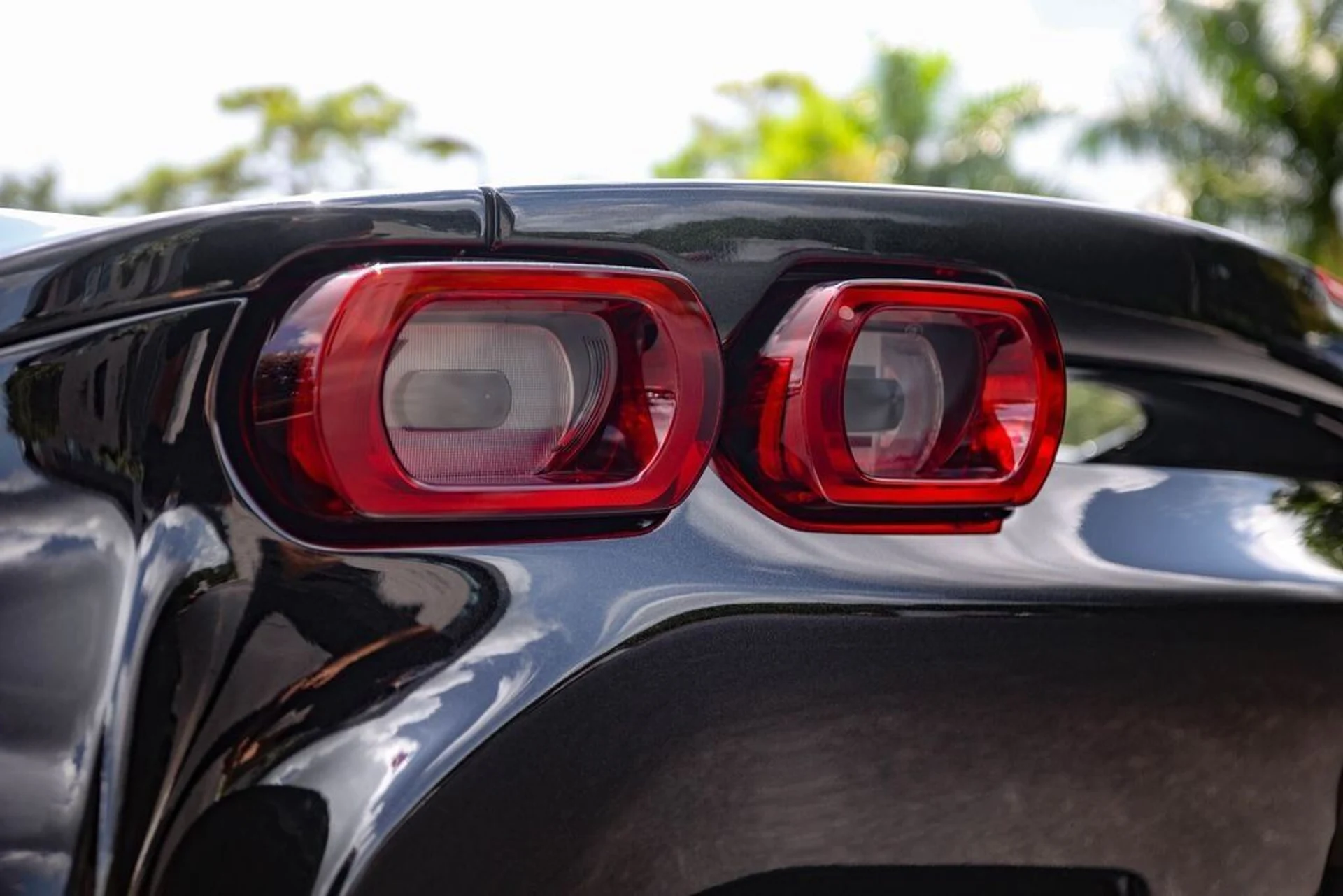 mph018_1545443353_a42b9b170718526acea7d579c5beda68_3bb38b4e66