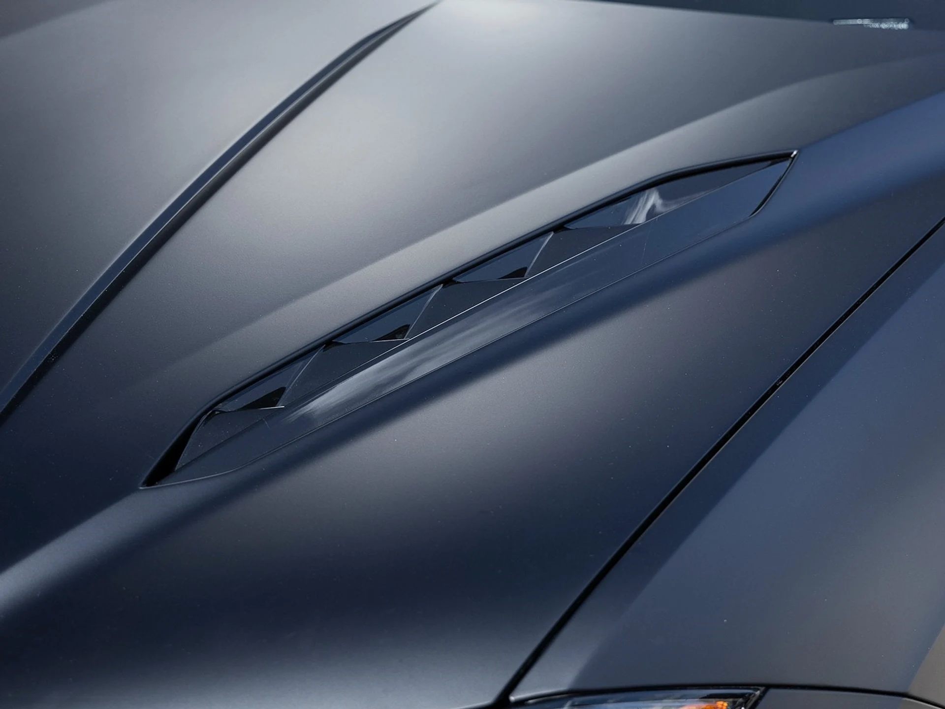 mph018_1573494620_19_a2b5a31682