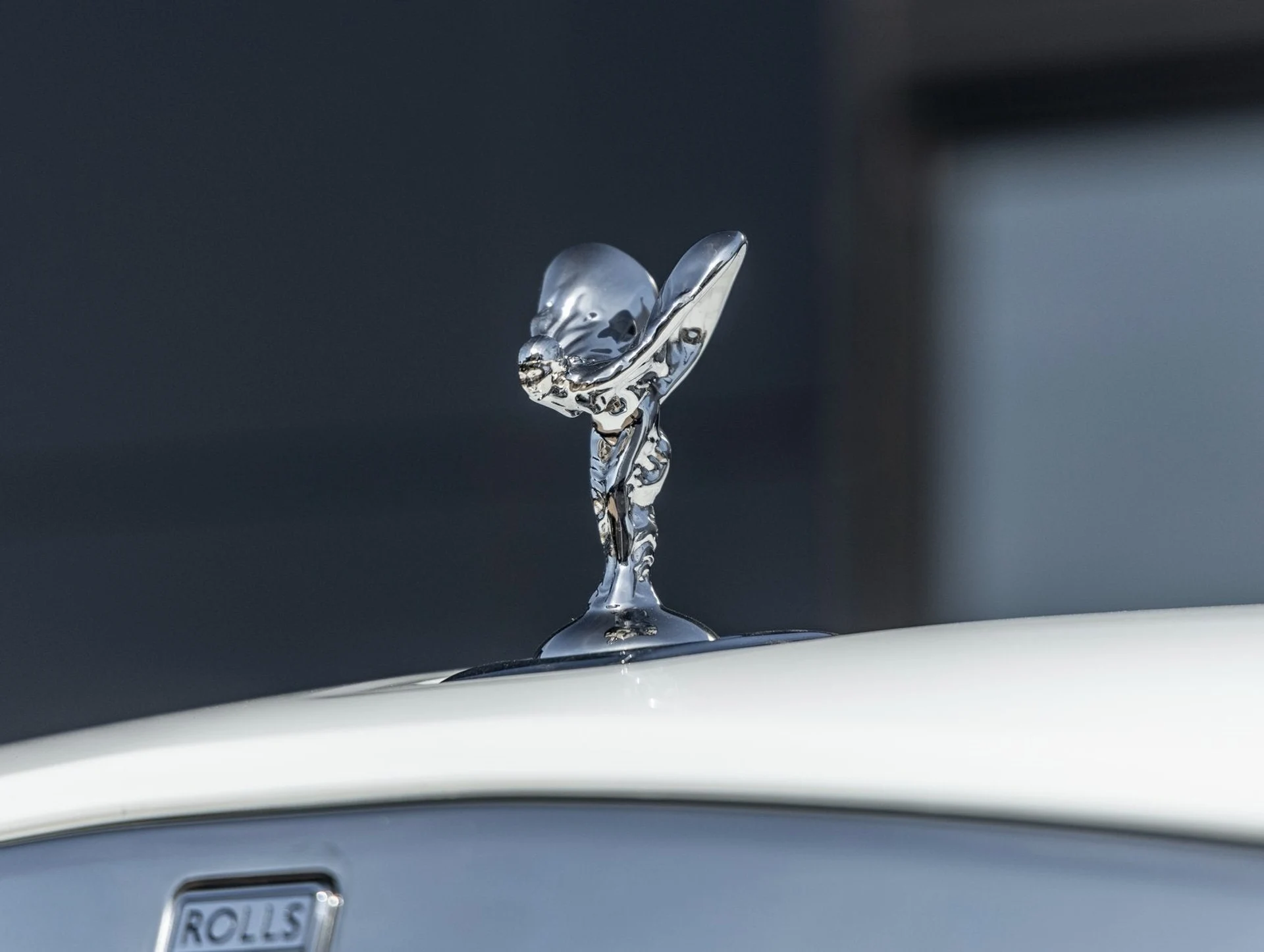 mph018_1645294600_19_d063ca2859