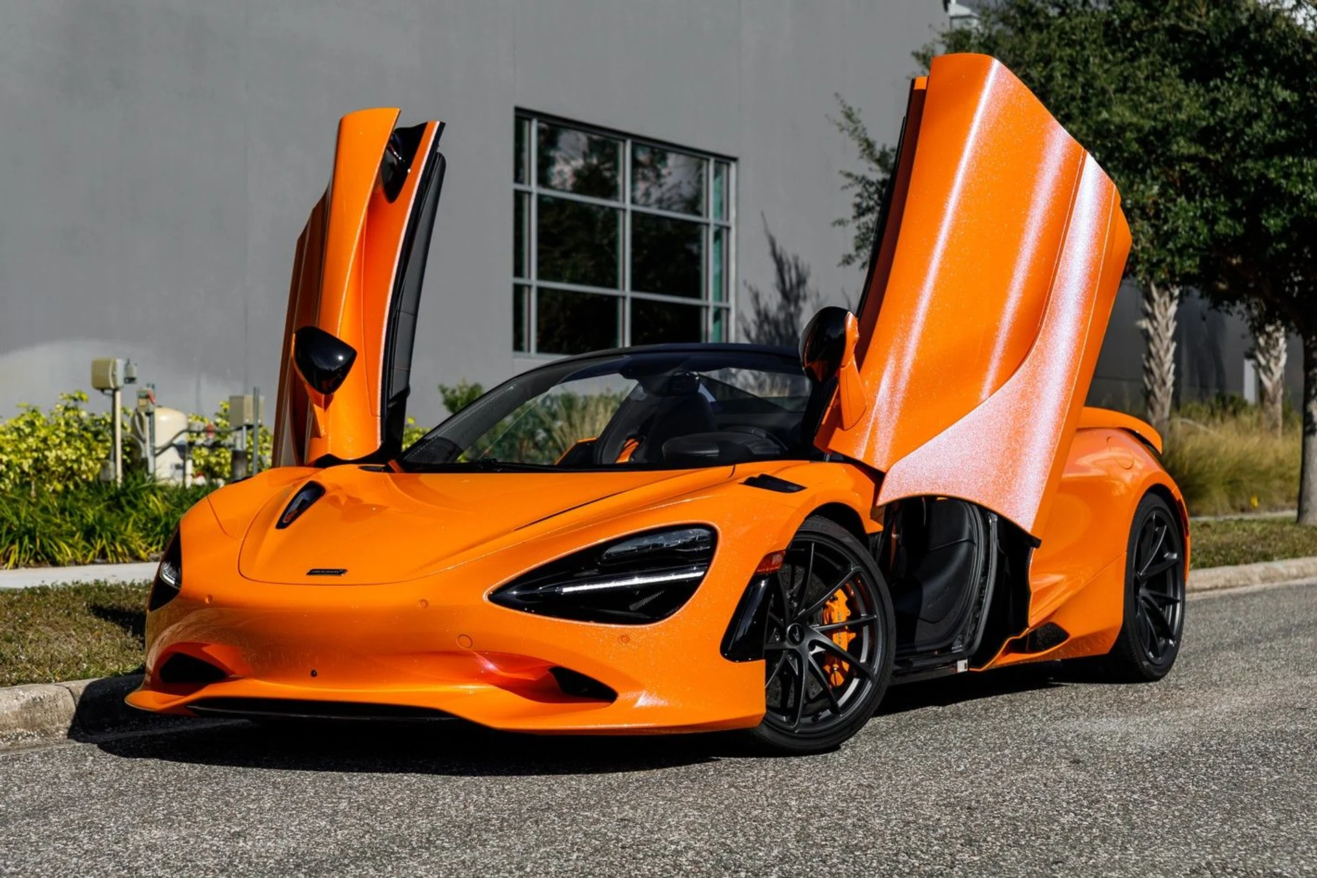 mph018_1668954366_515_p19_l_ecde410de2