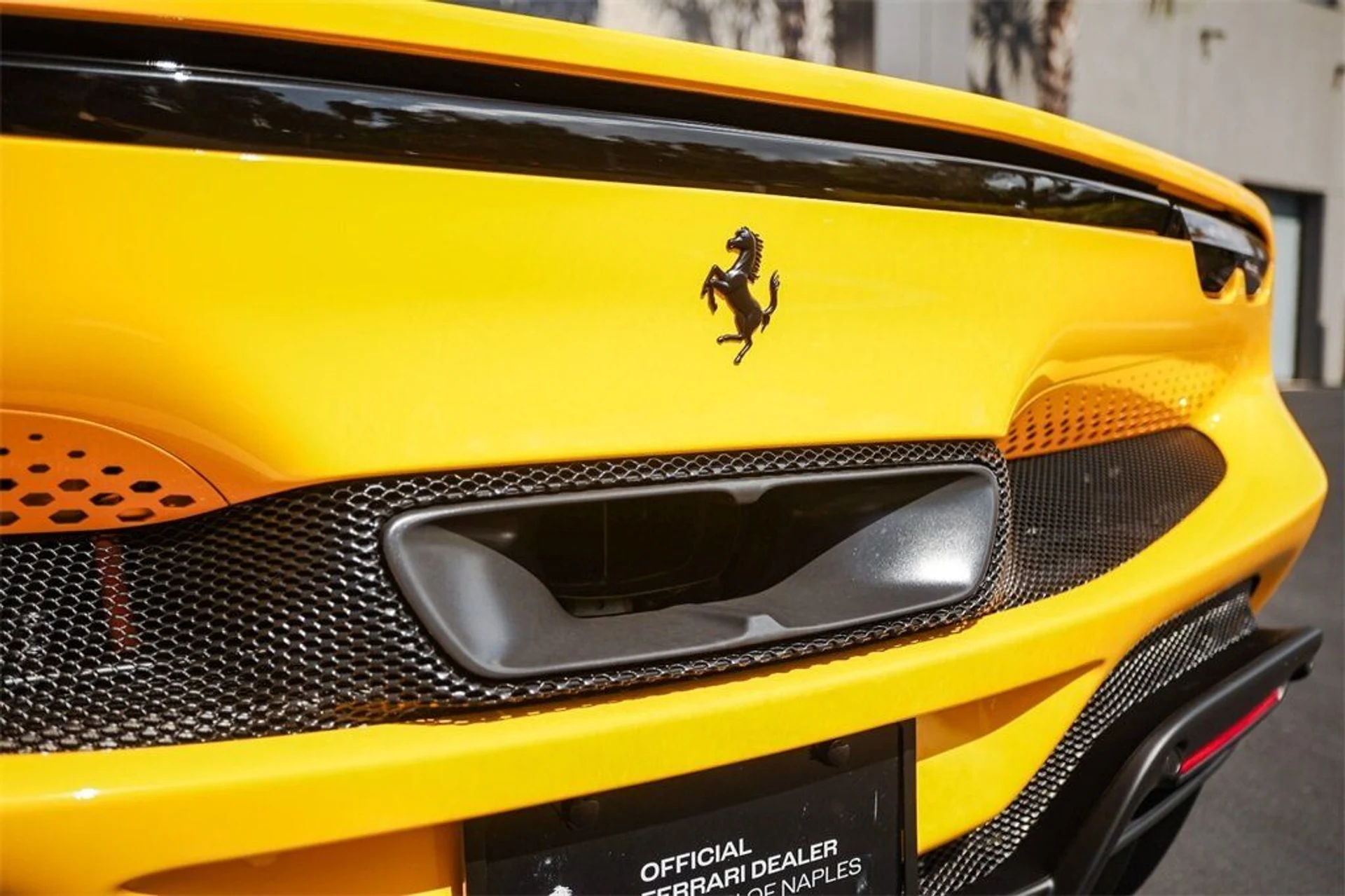 mph018_1725469786_8e759d3fc92c68403515a91cbd15b4e9_165f94d4df