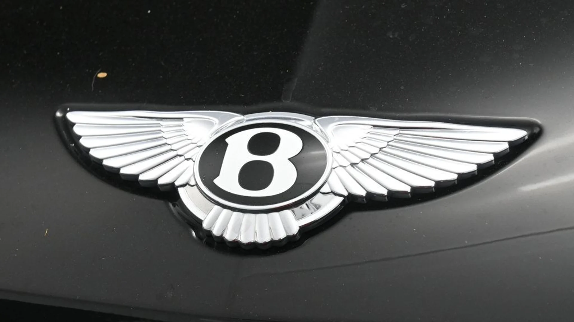 mph018_1729149208_11c5513d959e1d9d415caf5775c55950x_888112b356