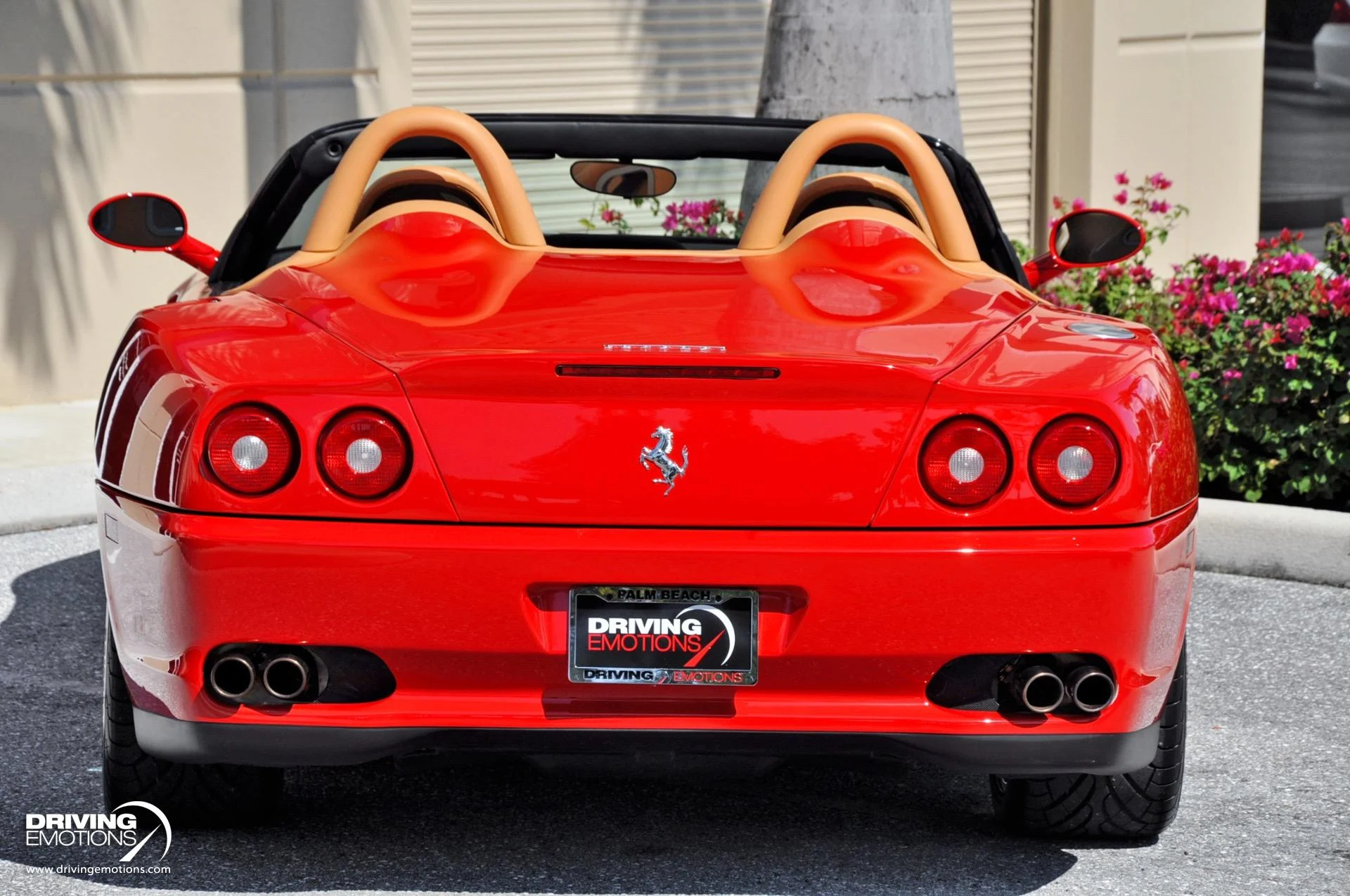 mph018_1734233638_437_p19_l_0306b465ac