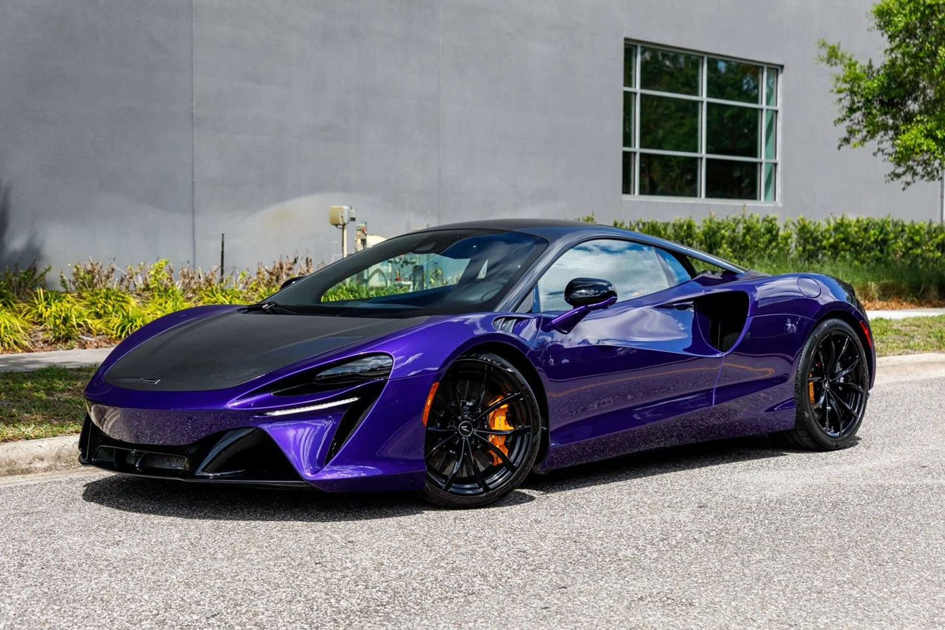 mph018_1741458808_362_p19_l_1f62768df7