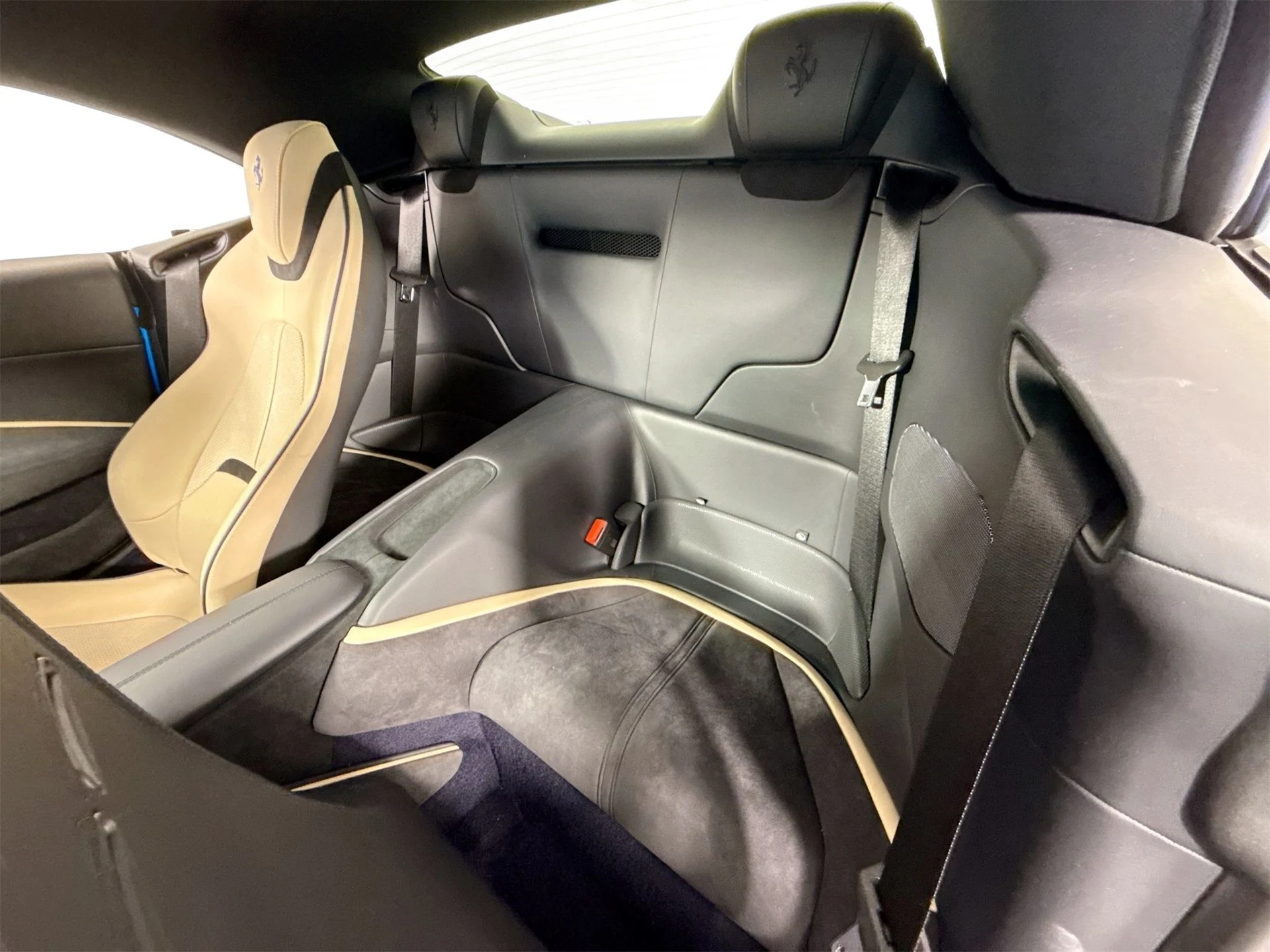 mph018_1772426172_487adb6d7aed329241bc1404ce5caeb2_163d9f9df1