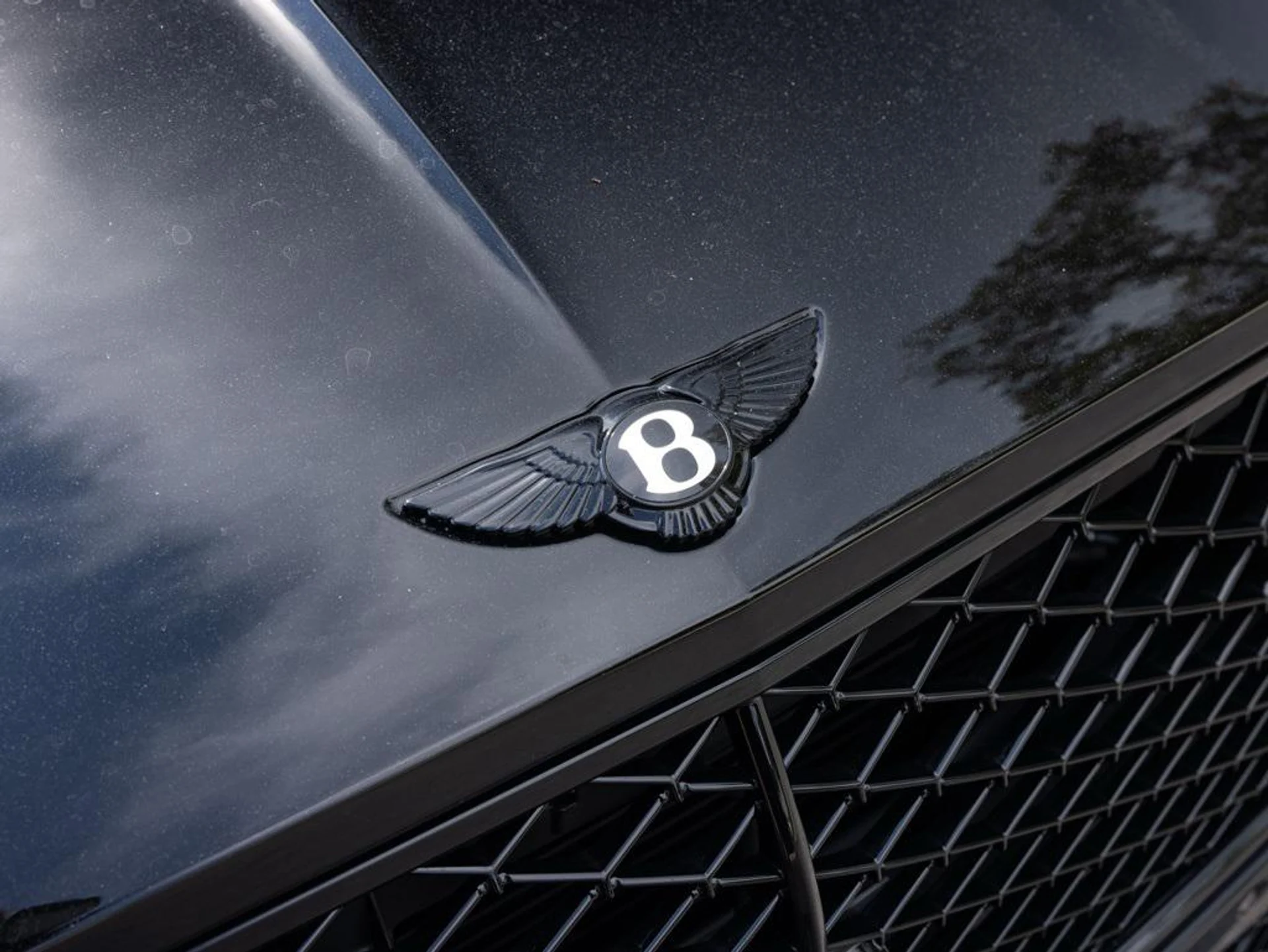 mph018_1804003583_445756534_68a0b01447582abe1d6e7f80_936d9627b6