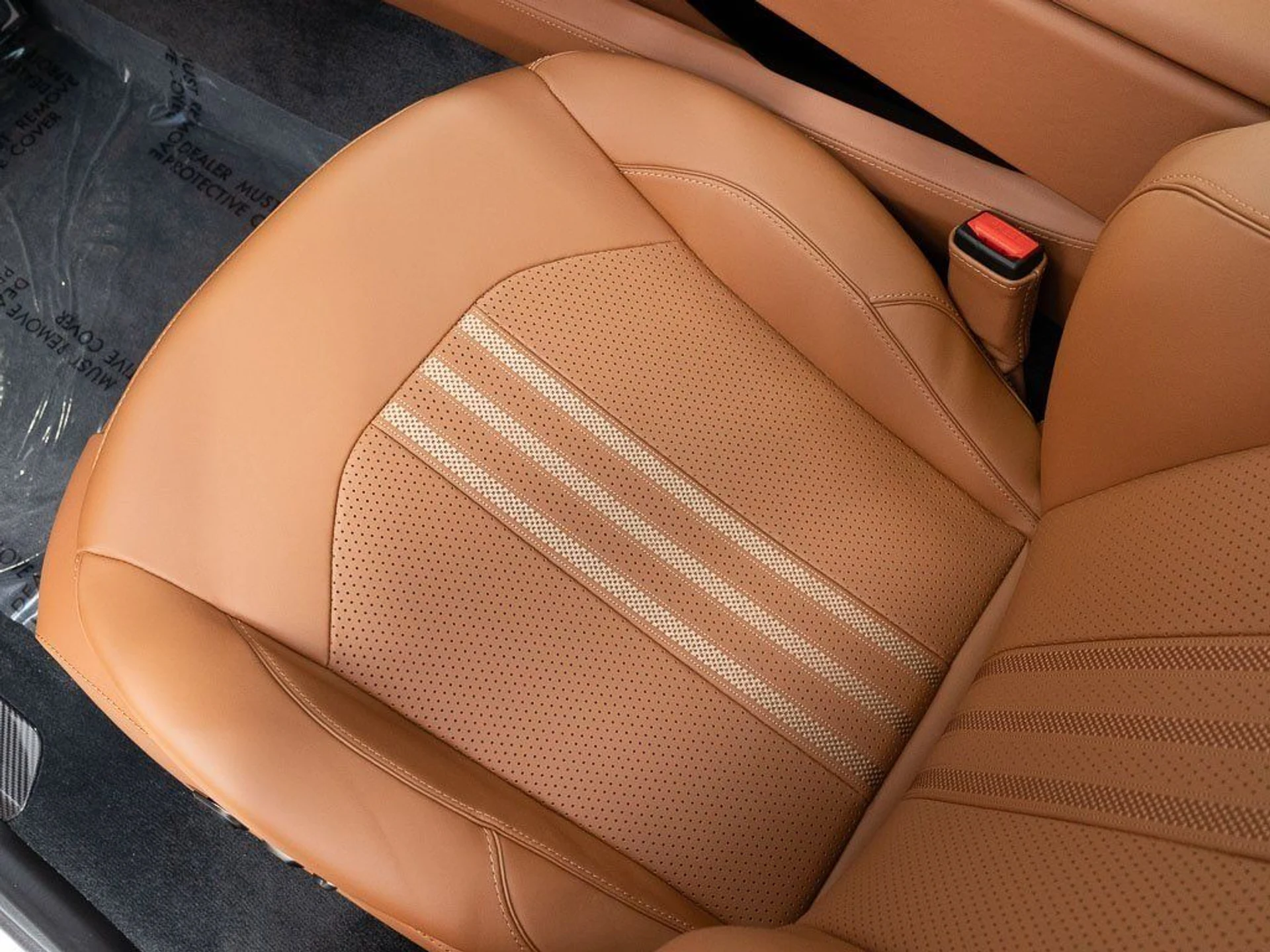 mph018_1821698545_a2dc853a539b58d7282a95763a0f9785_5c0b3bc3cf