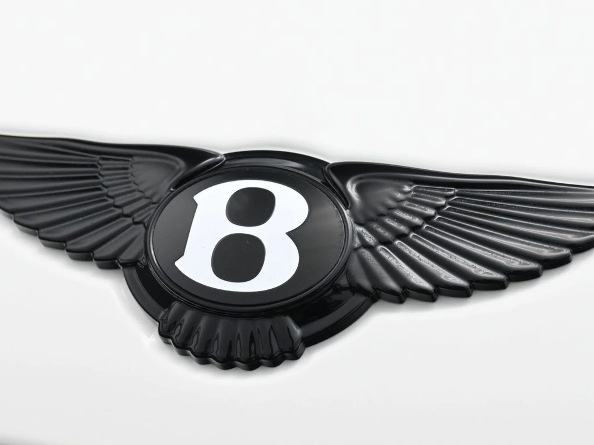 mph018_1826366190_0999fff1f65cd80c42e3a4d75025d117x_ee34bc92ae