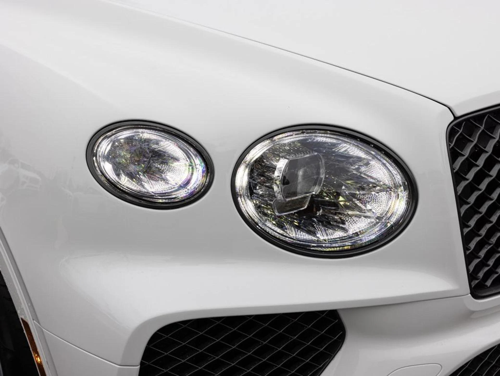 mph018_1881894073_480417656_693907c6be3adbc4f79da64b_d829e04572