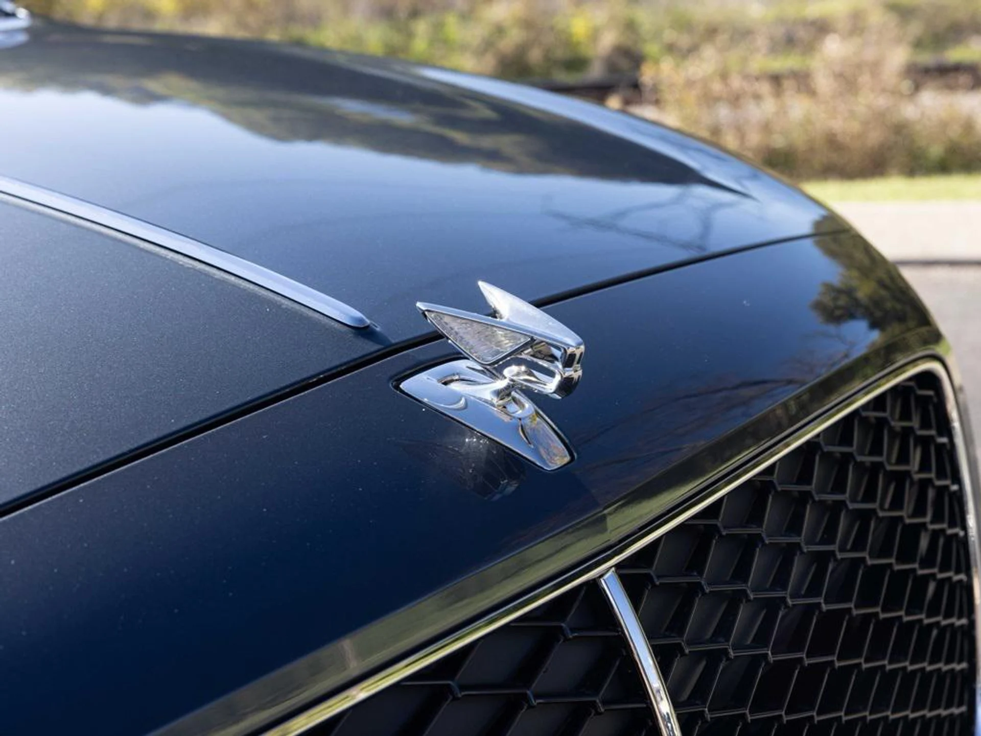 mph018_1892978999_471657911_690a42516f3f14244e02b1b0_3a6ad6f569