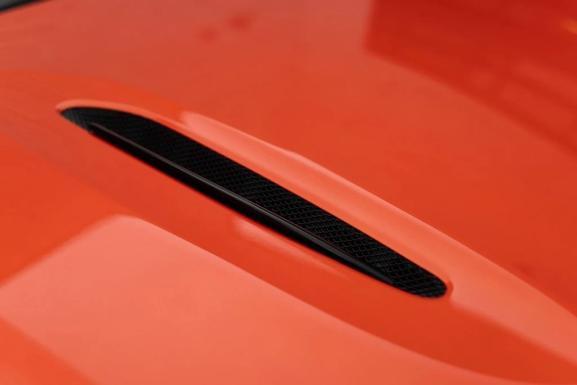 mph018_1893300911_9e2d0b9b0f49af6b631d616694a29642x_5bdcccd0c4