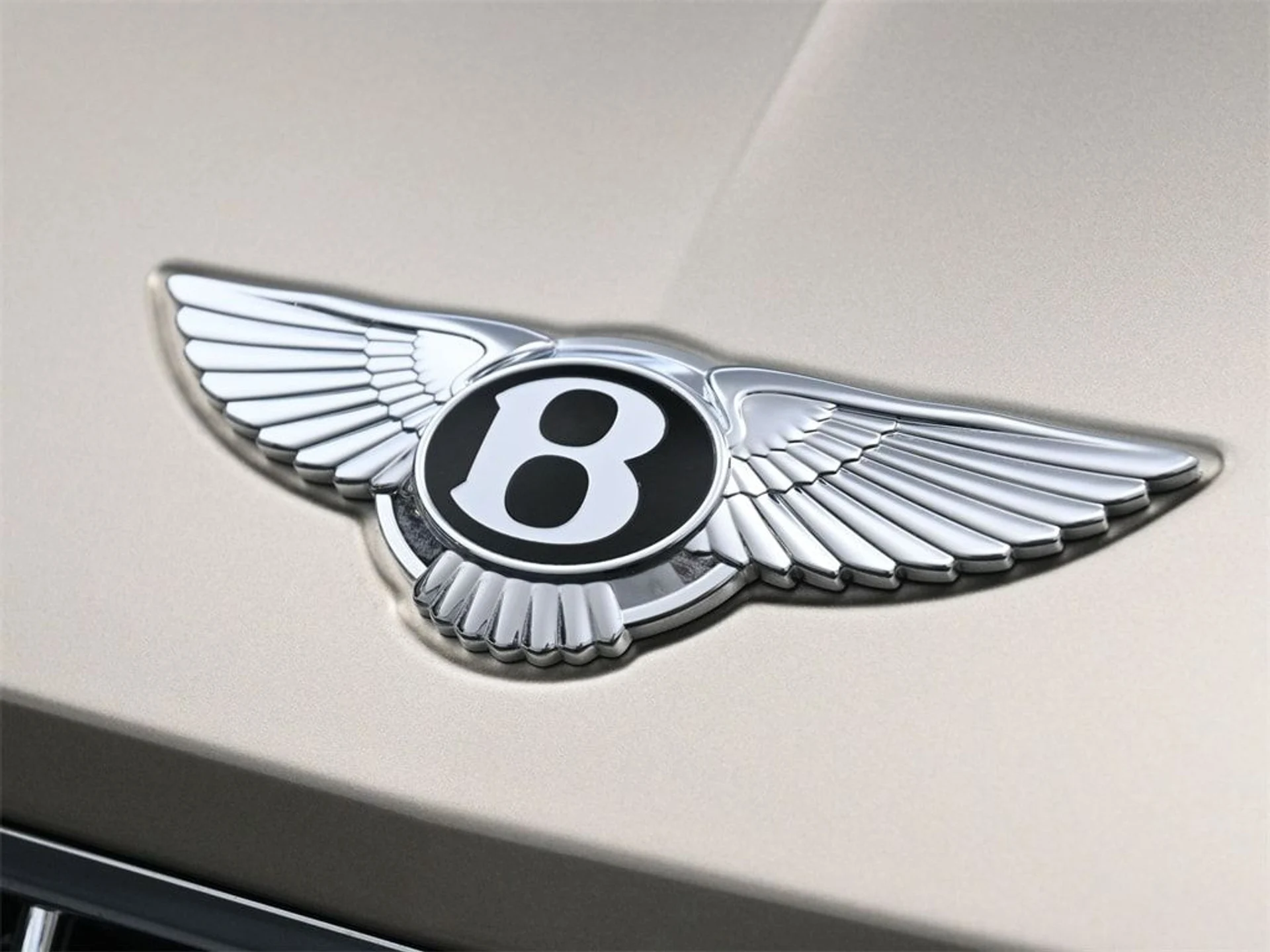 mph018_1910179726_7ef6d9d6e89148b0739b2430d5396bfex_3809c12eb2