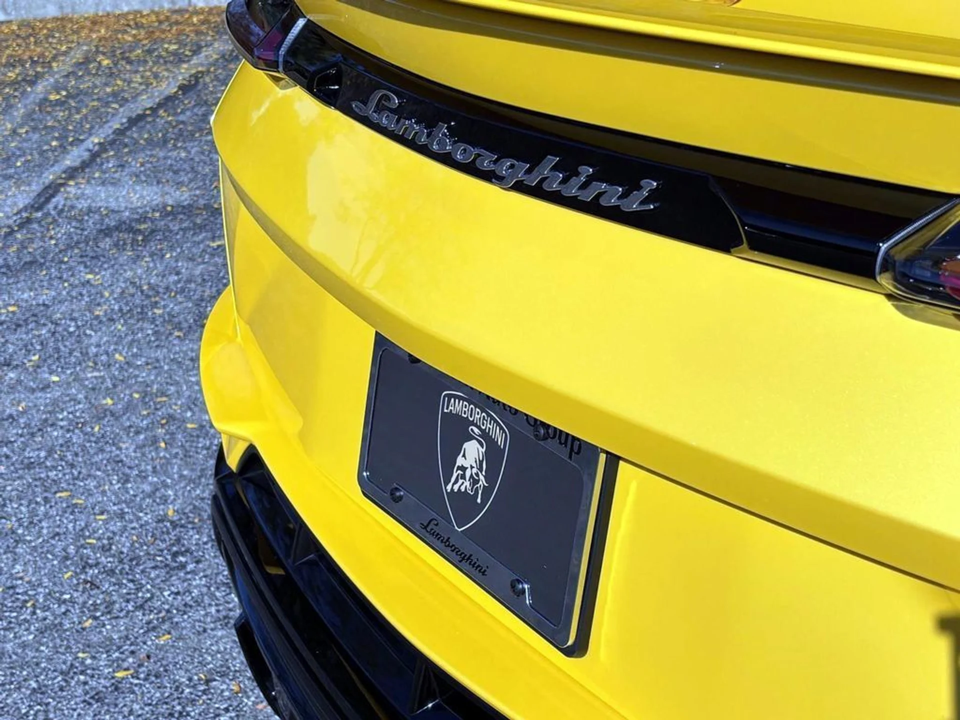 mph018_1995830909_2e7f2afd75f76eeb6f0075c7632d253fx_1697dca0a2