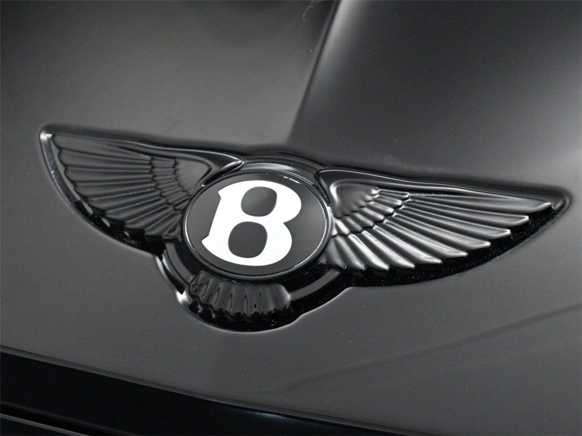 mph018_2062091076_85841affa454355caf0b099d5a665f97x_fe198c4ab8