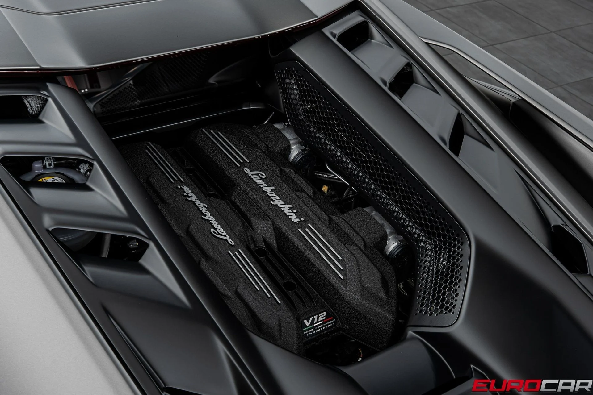 mph018_2122718643_image_19_bc00aec0e4