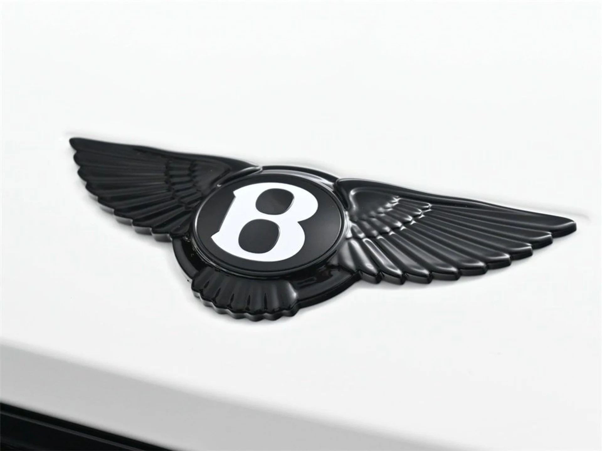 mph018_2142189100_51fd6297a0f78fefa51f43cc2bfe4199x_0eb1b454a7