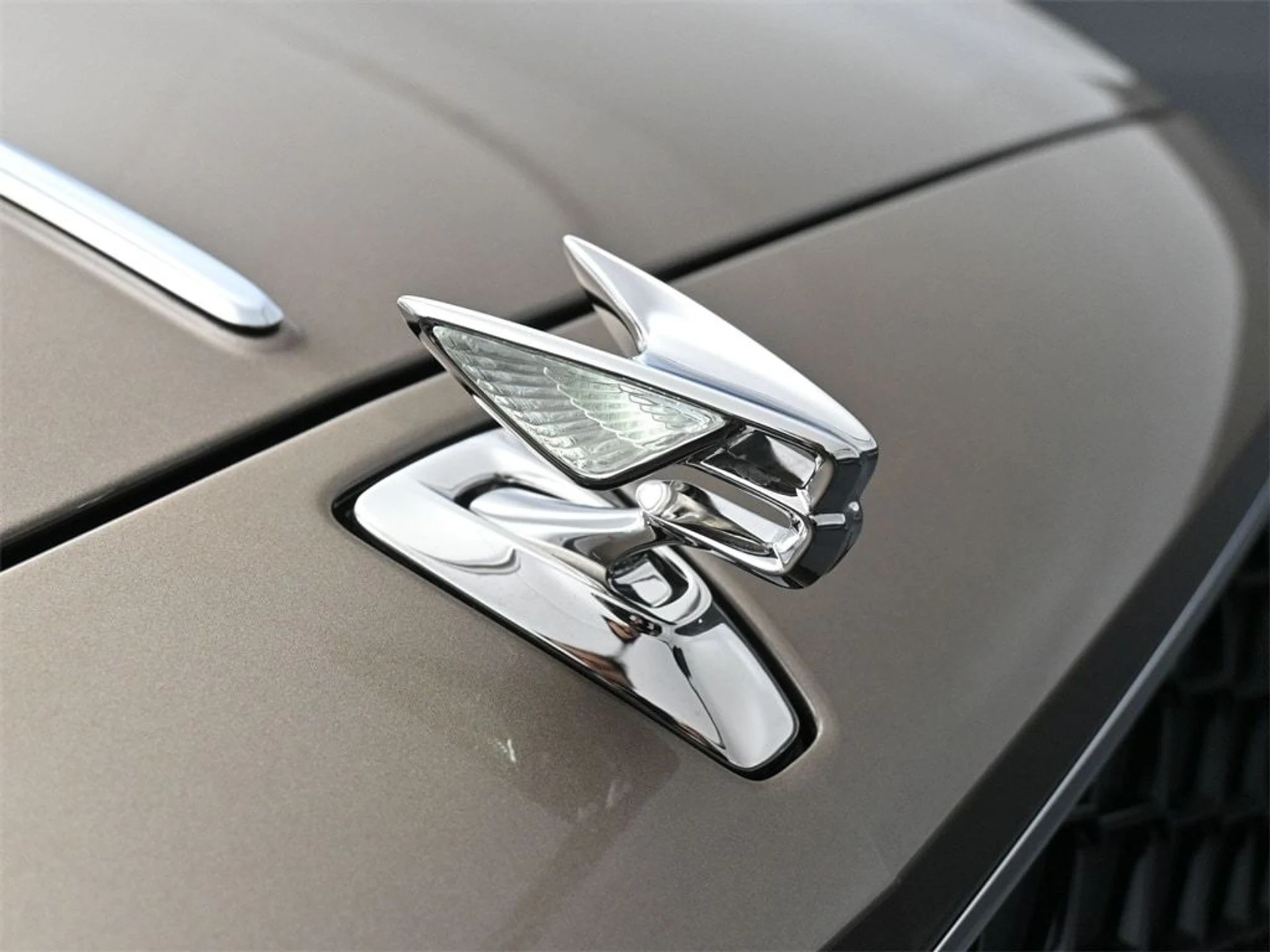 mph018_2293495802_7fb8695ef269bc3ed35a1febd4d68b4fx_396d9863e6