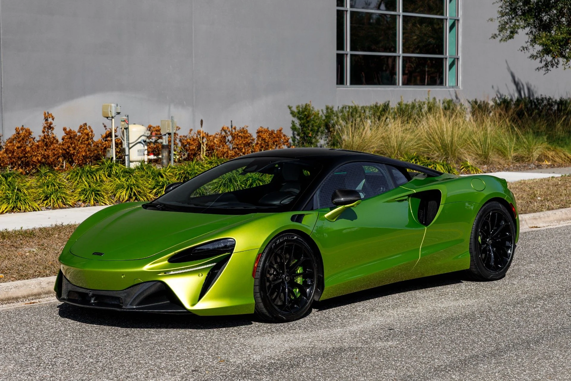 mph018_2322038907_287_p19_l_94b9397bc9