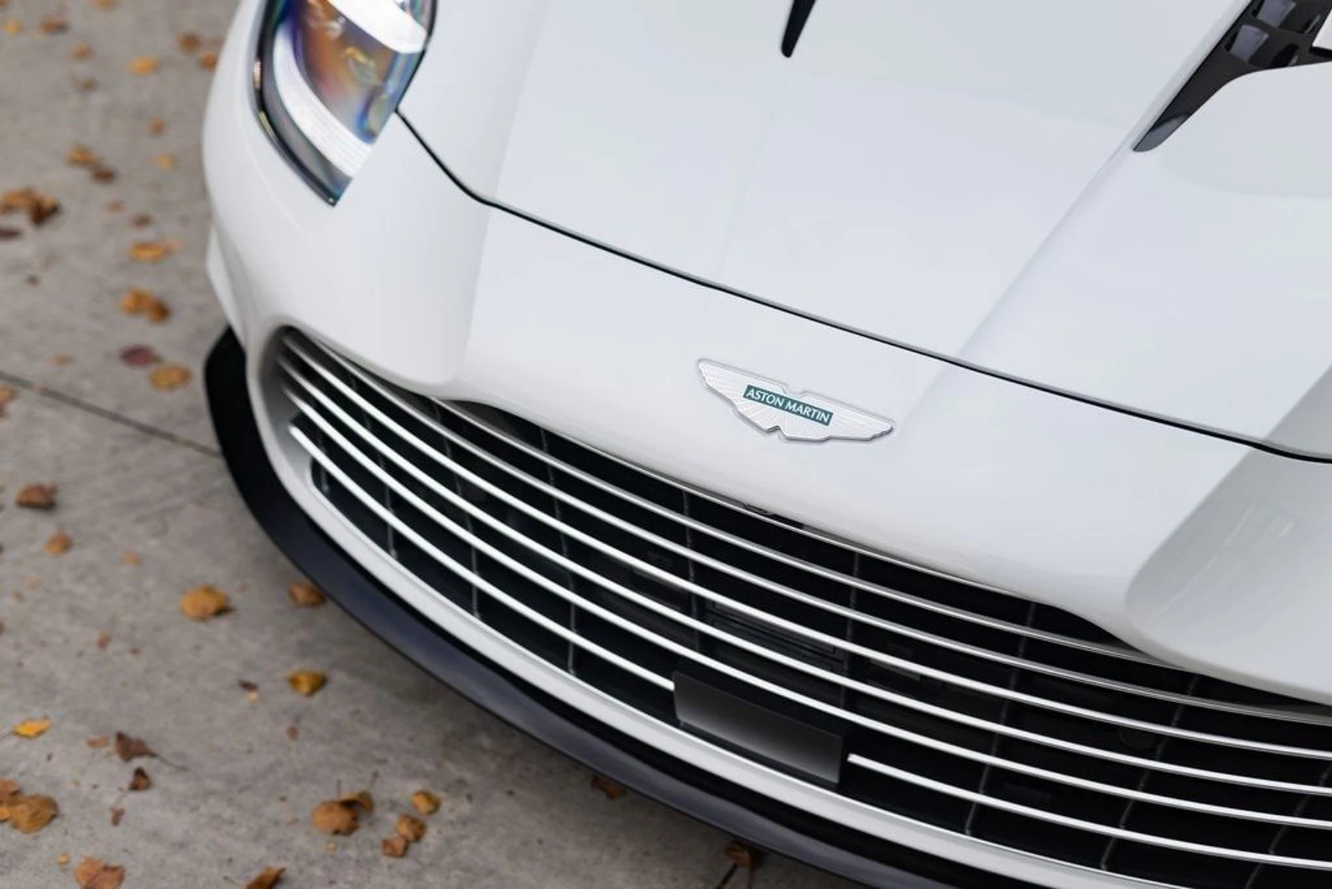 mph018_2366727497_c84c80dbeb21ed3a4f1076f3bfb8b937x_2ac6c8d957