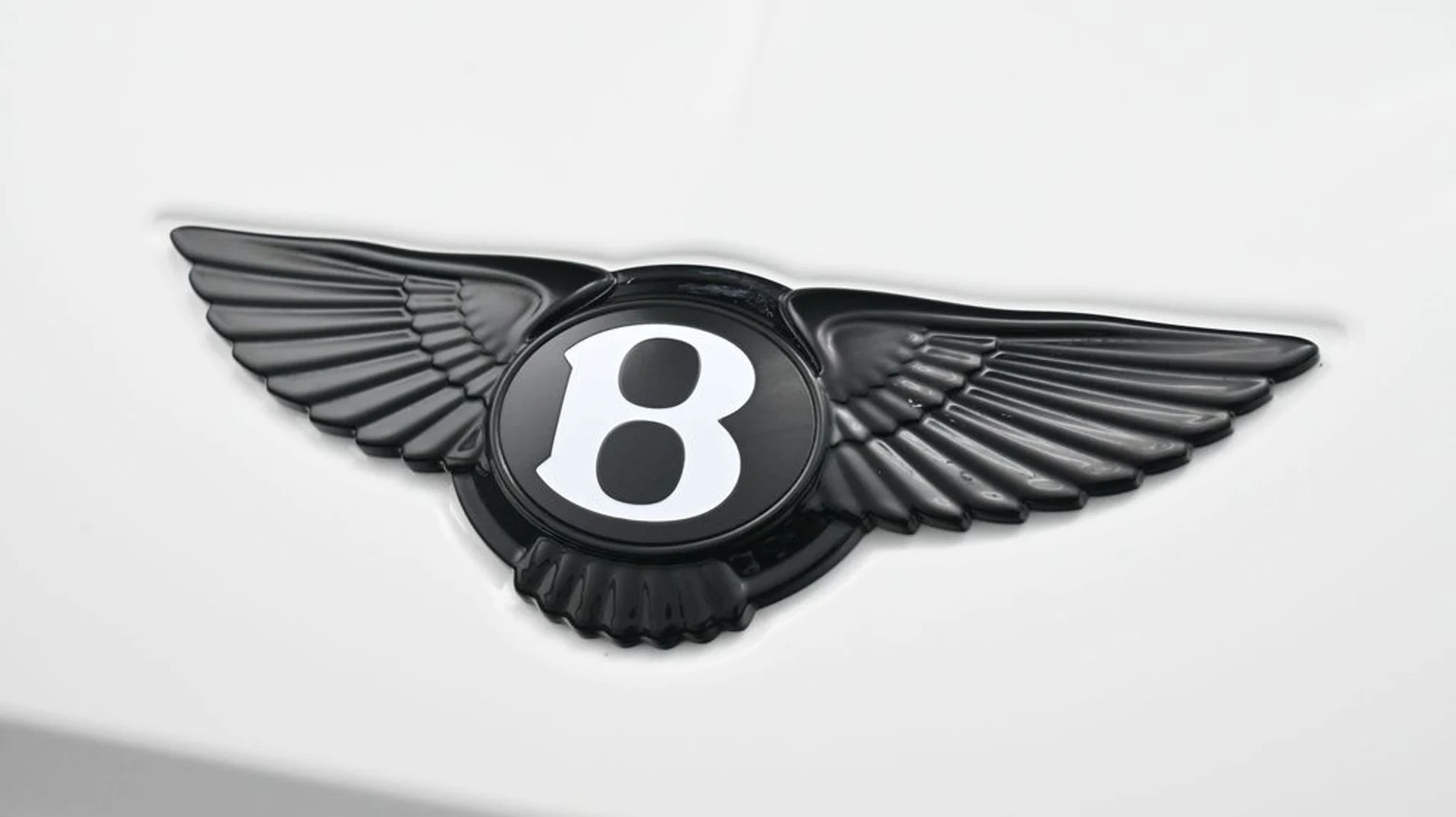mph018_2394850538_1d0d1487b672978cb169d46be29cd0eex_175b7dbe50