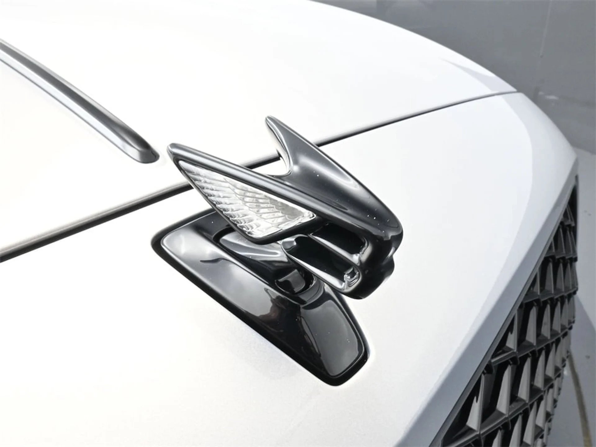 mph018_2397319964_1acc70a2eaf77ce17b5dc58e46b084a9x_e87bf9ff7d