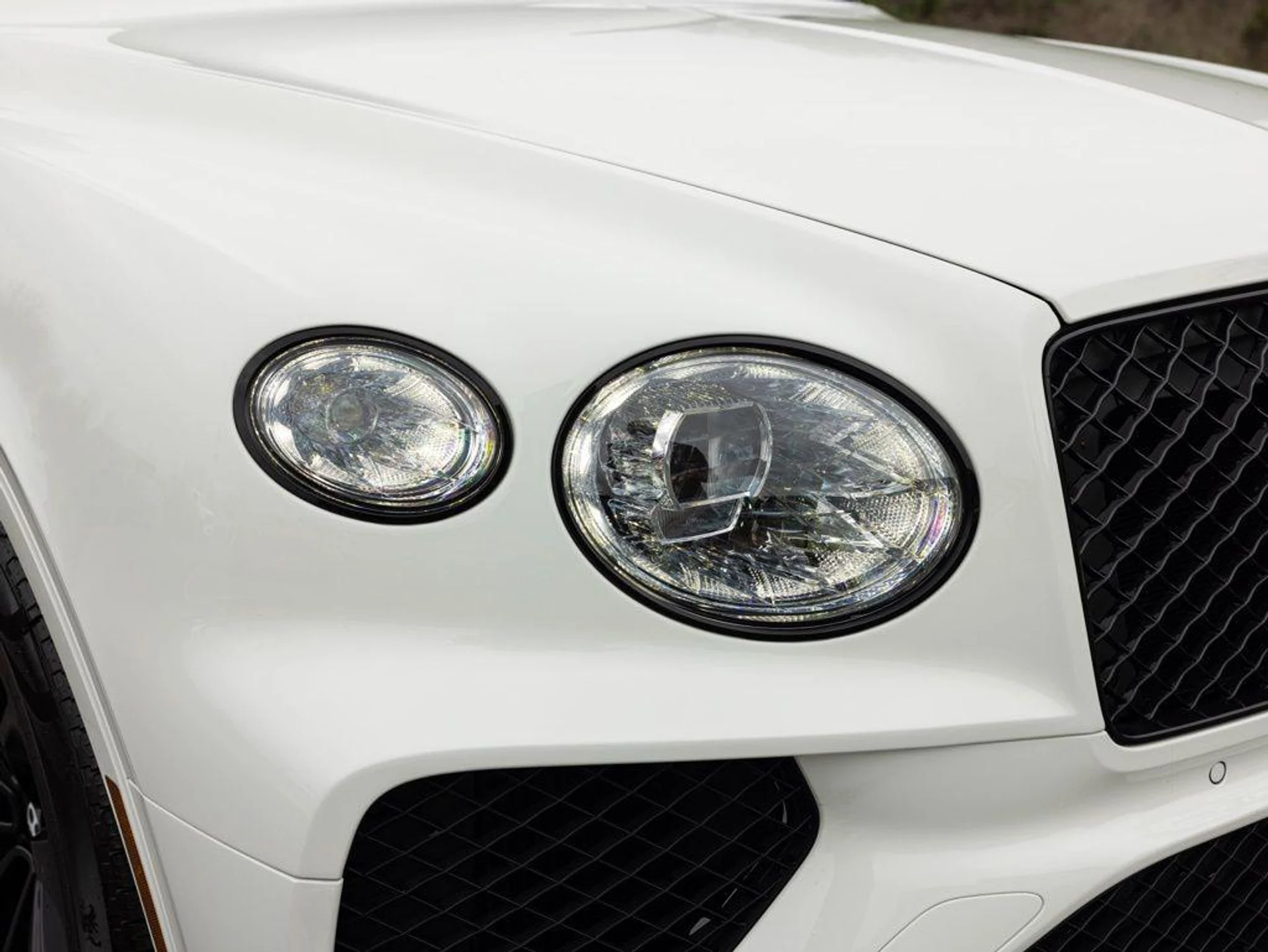 mph018_2427548297_505919897_69c7d811966ffa5d8dbef1b5_56ccba064a