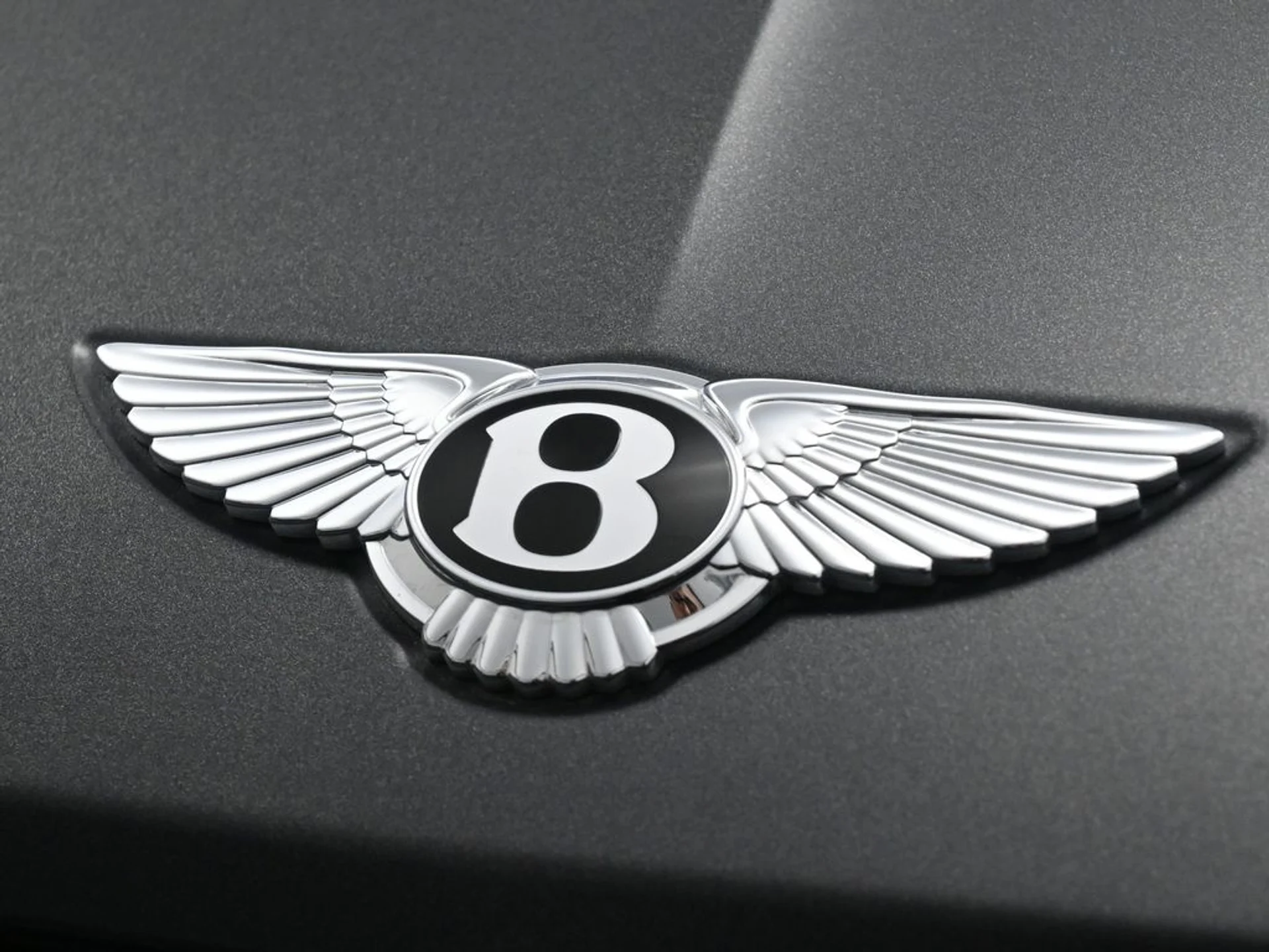 mph018_2440984224_7b2bcf04cdb06fc47a459c97b8fa68c5x_1a6c131e1e