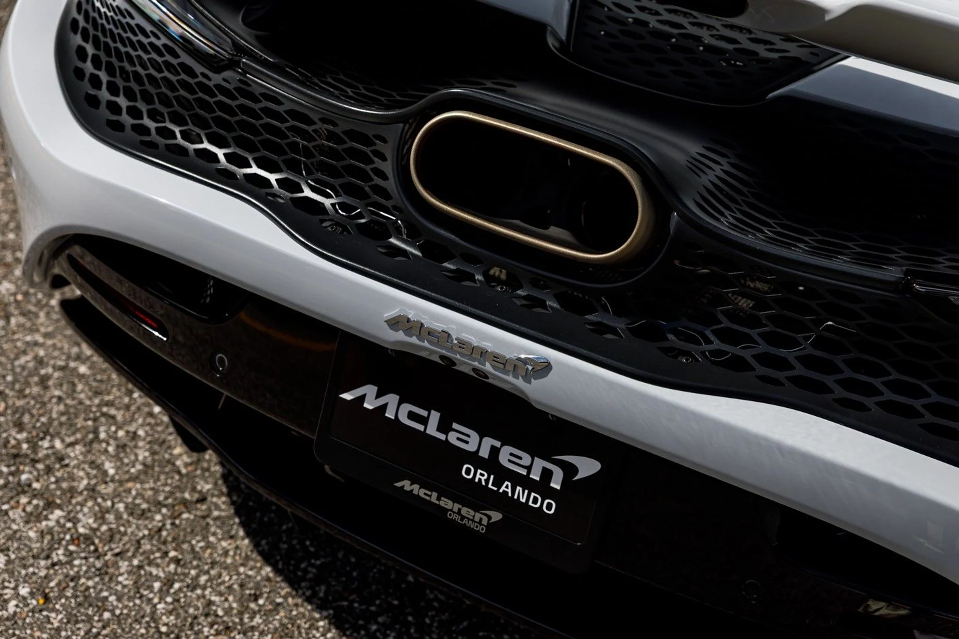 mph018_2484432145_616_p19_l_f42223a8bc