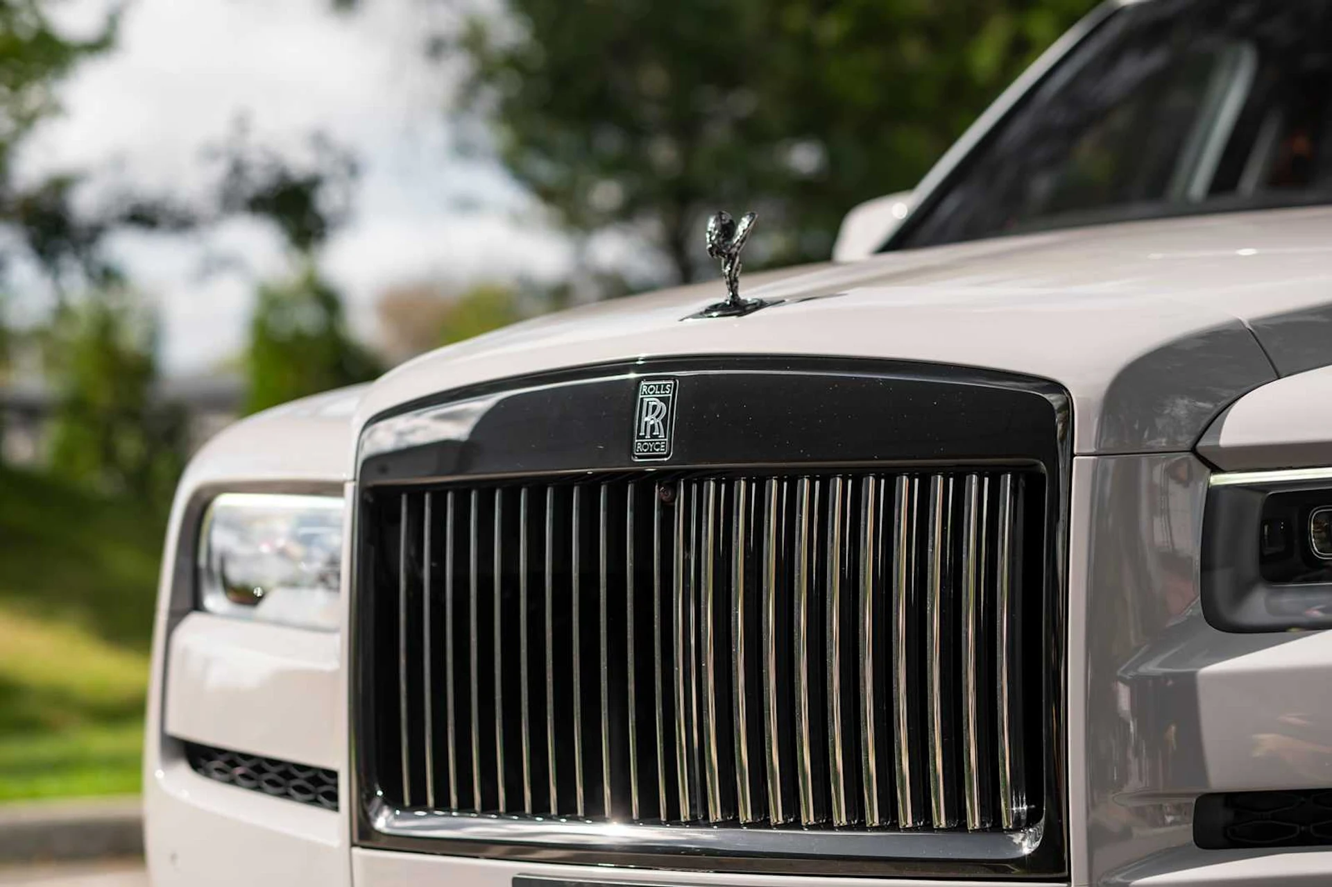 mph018_2530259502_06de4153acbae24f520eb6e476e9f6dex_6bba26ee86