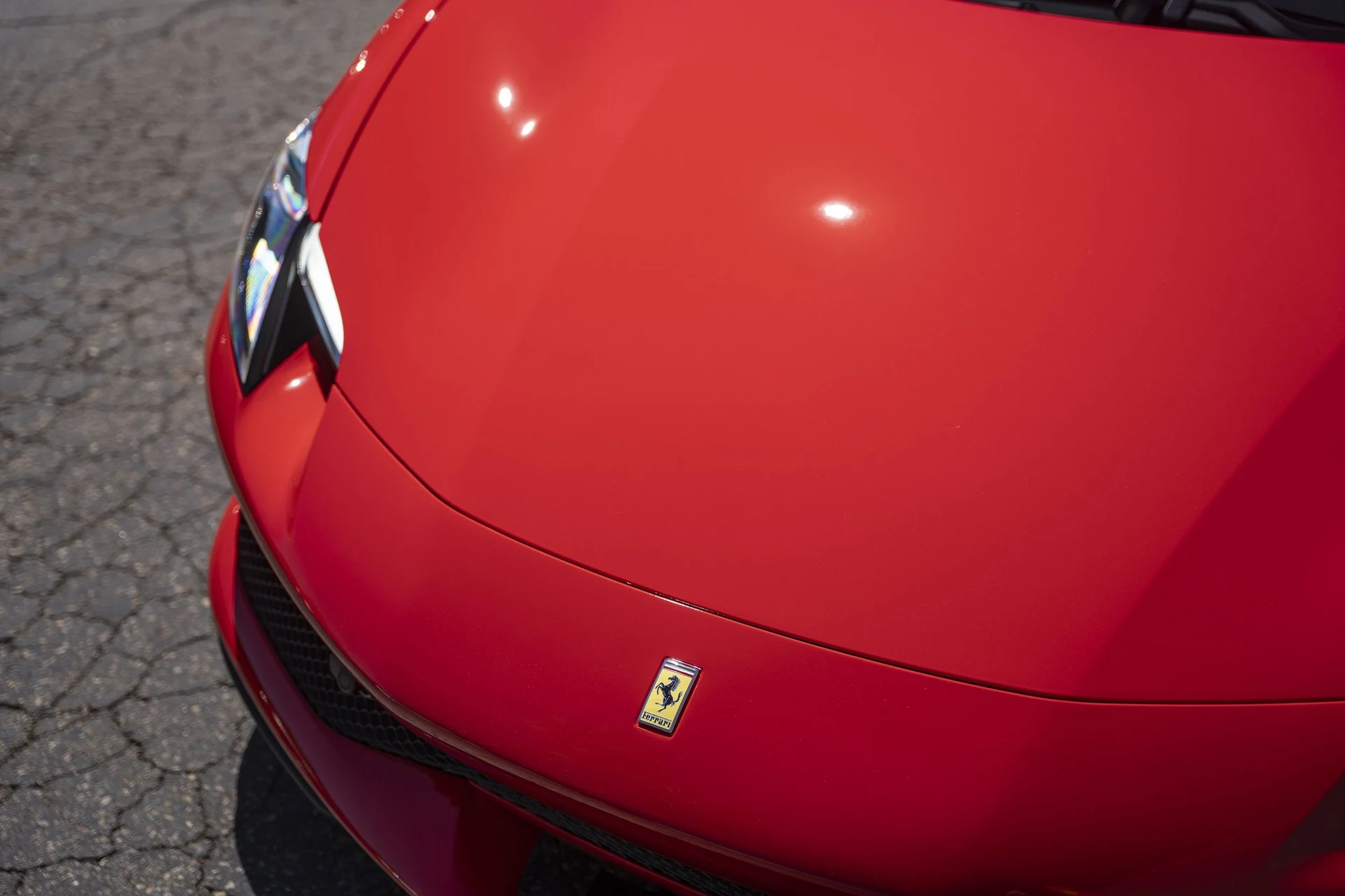 mph018_2561248773_1e3c7155bdcc4ff88c6230b7a15e9570_565205feb4