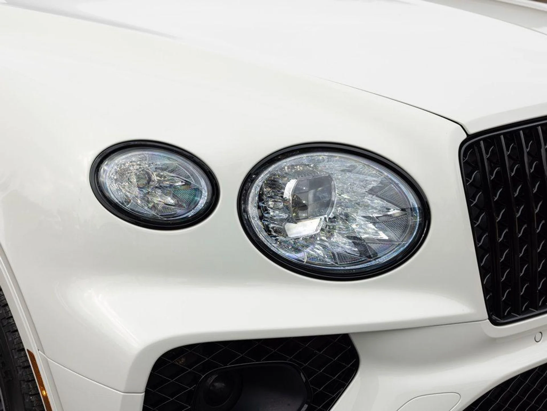 mph018_2605125749_492619448_6986042f180868074e36c698_39c3c02639