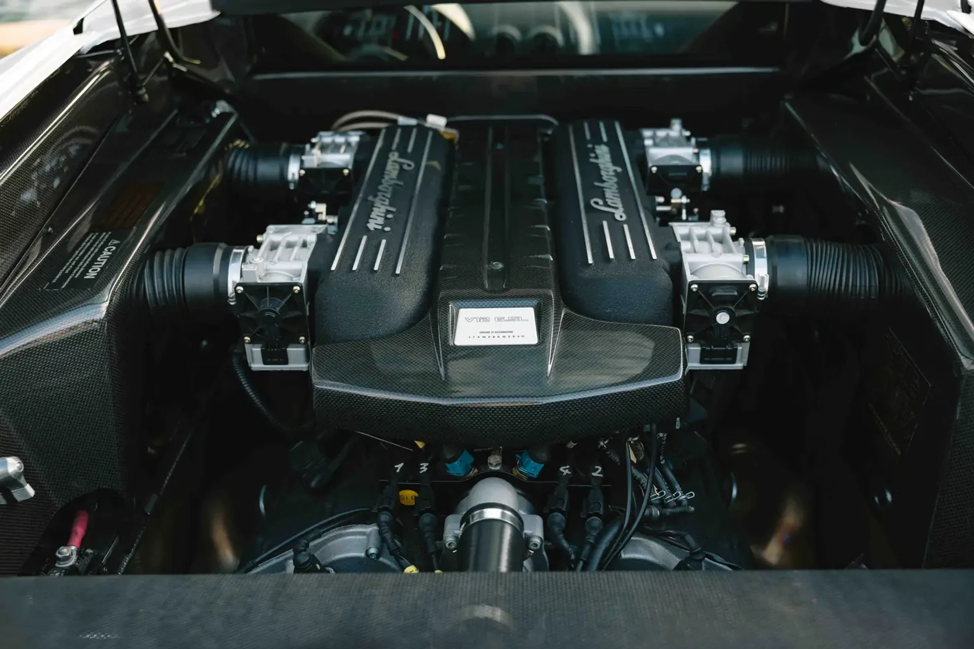 mph018_2607416864_6941da4c44b7ae7d74168c90_gallery_image_18_1765923398565_276a13c9a0