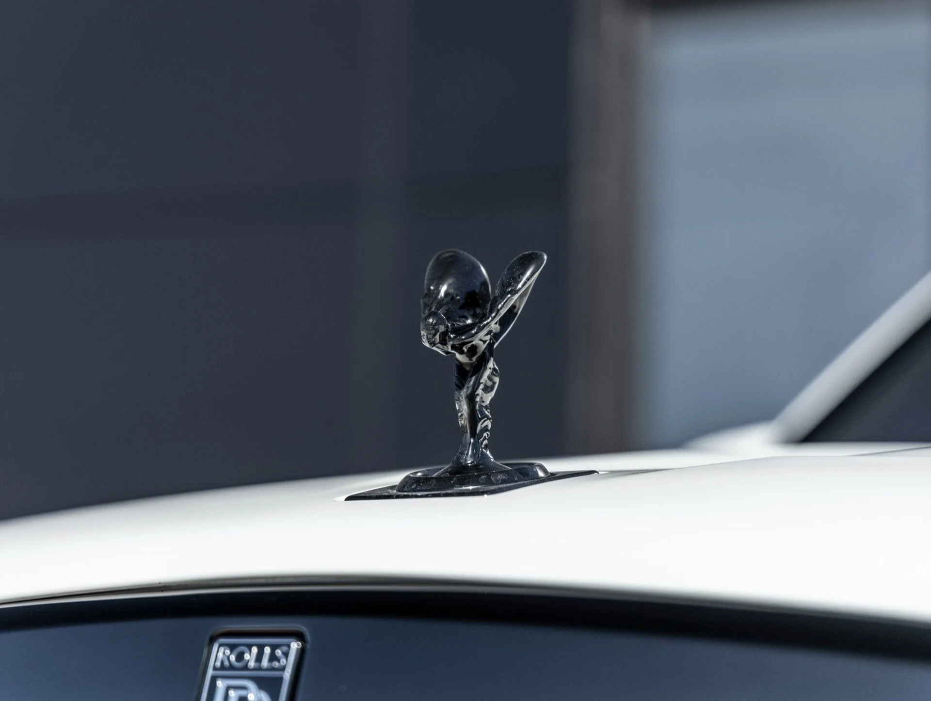 mph018_261459023_19_c491c1a6bd