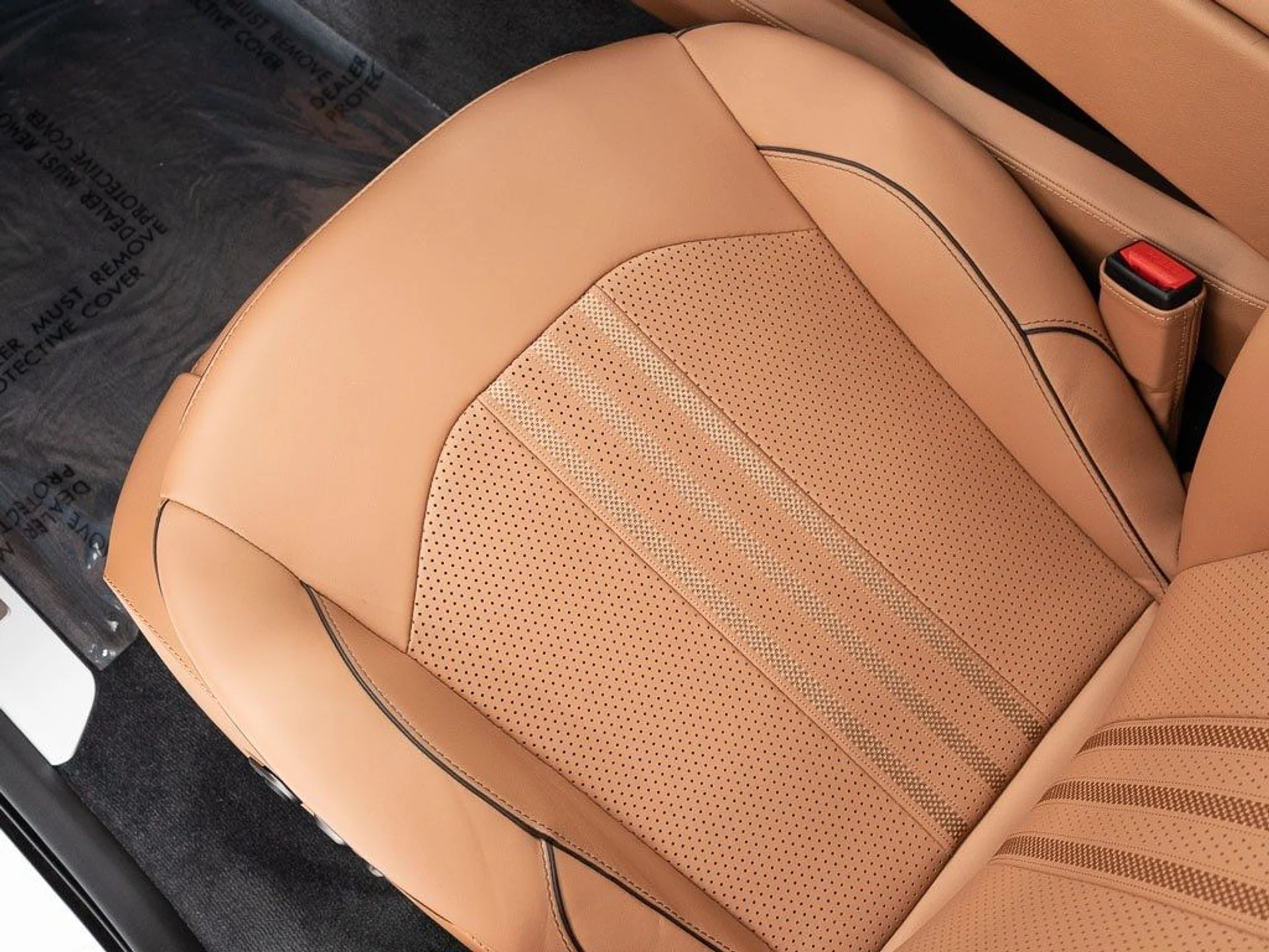 mph018_2619797531_ebad04dd1964d467560e1a9d7dae7bc6_355246ff14