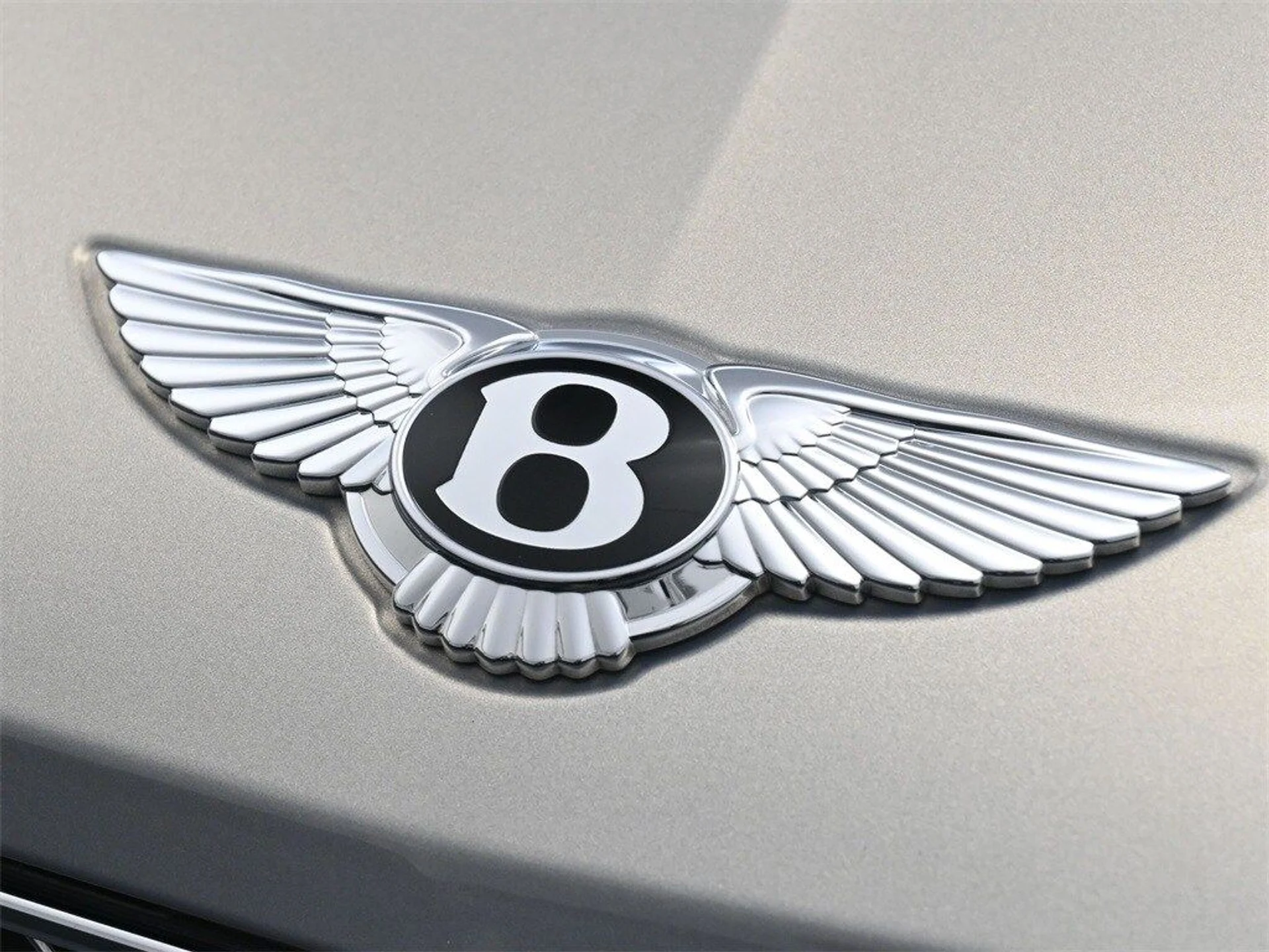 mph018_2644883864_e86e8bc5d7829b6f17b1fbfef4de88f7x_ed32b2d106