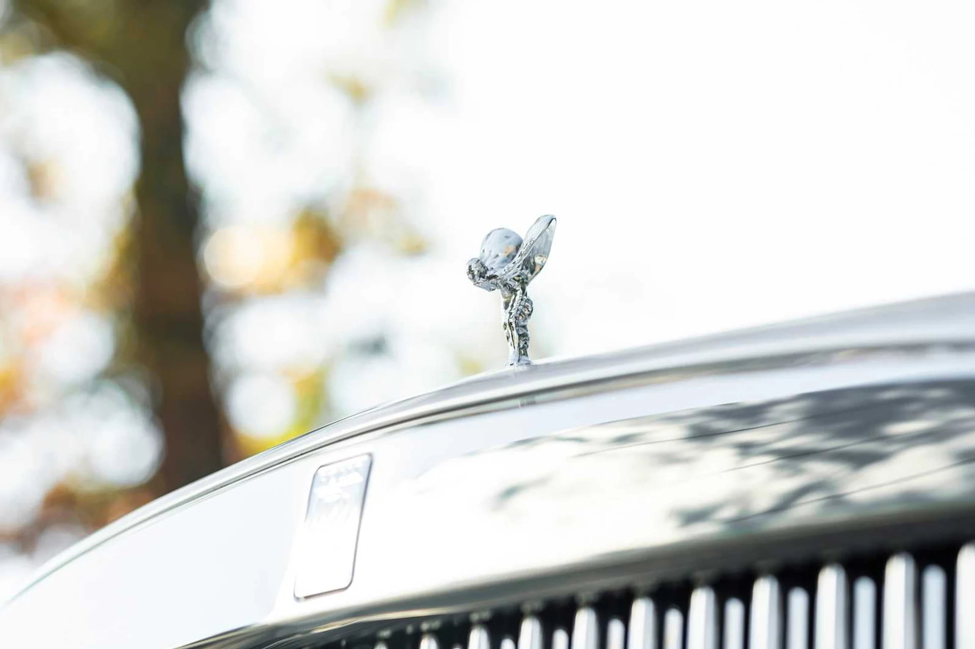 mph018_2665962601_7fd2053b73a0f6c25bd5f87a4dd6e061x_fc7abd3ef4