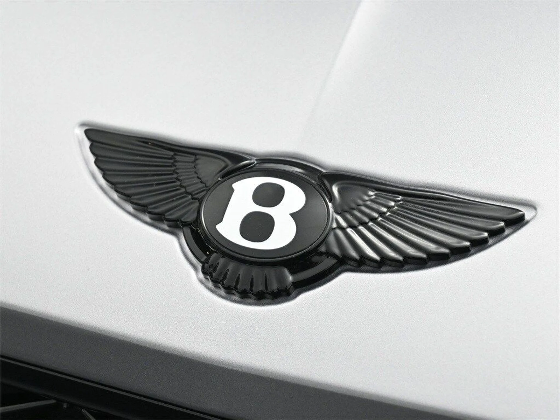 mph018_2694558365_cb6222856c682ff2b7e726ff82770d86x_1620fa598e